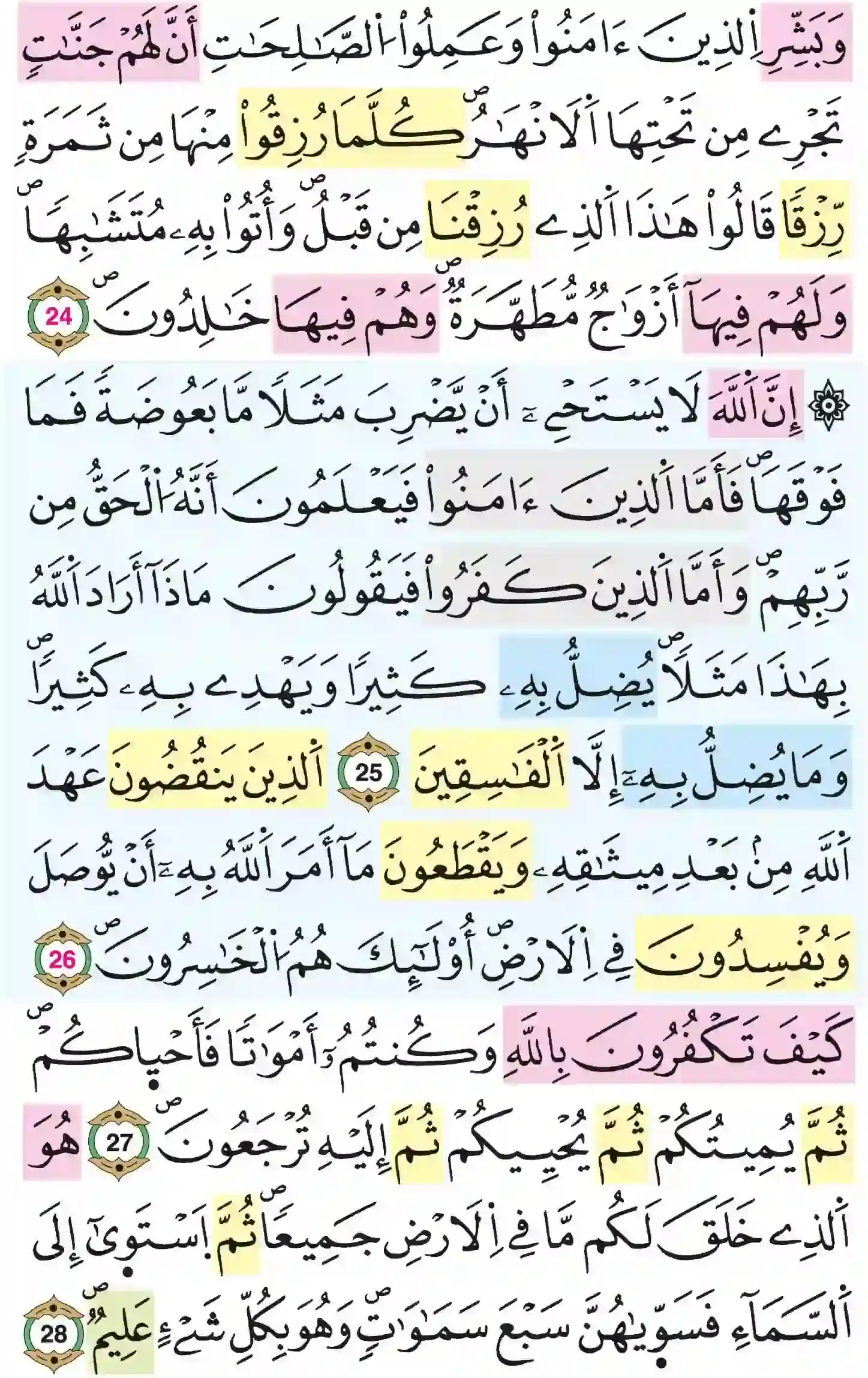 صفحة 5