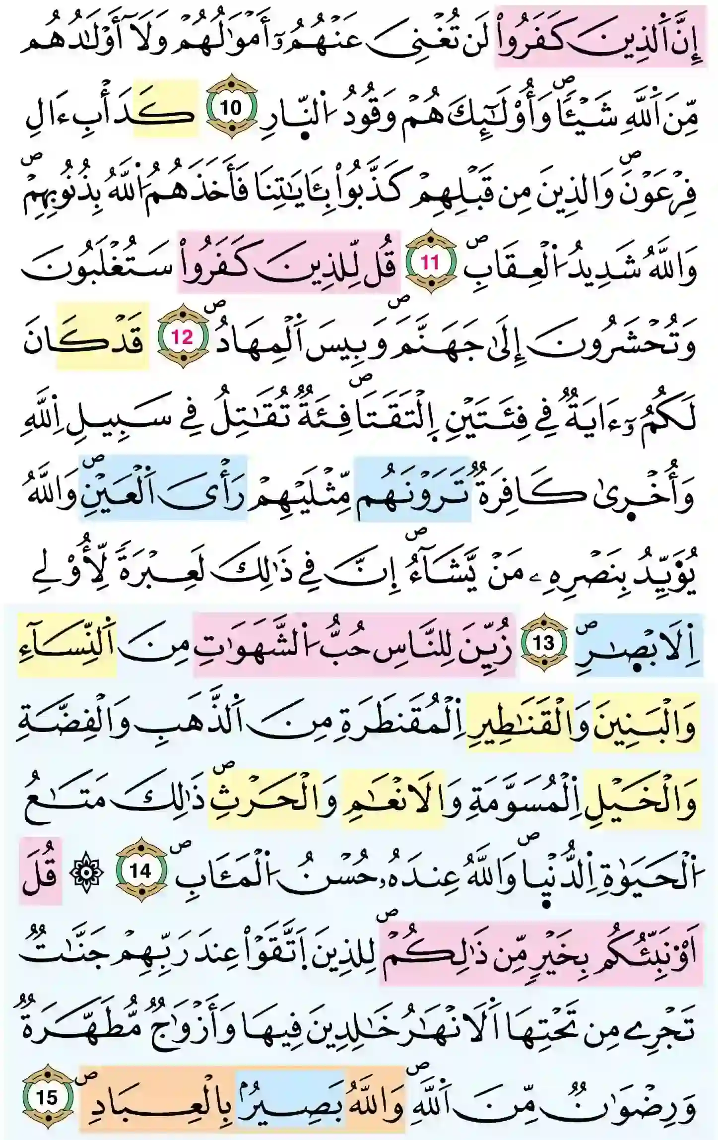 صفحة 51