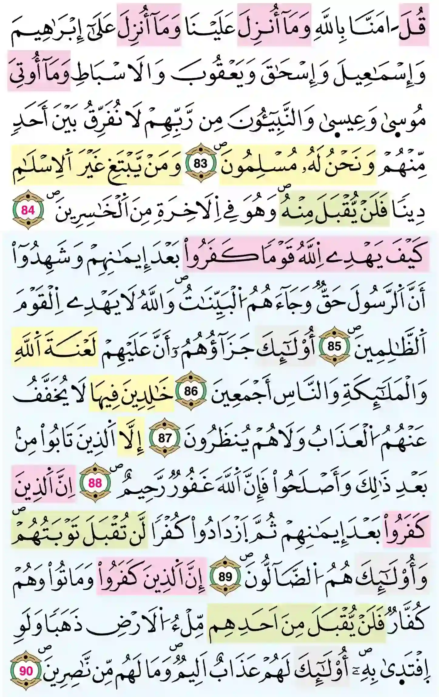 صفحة 61