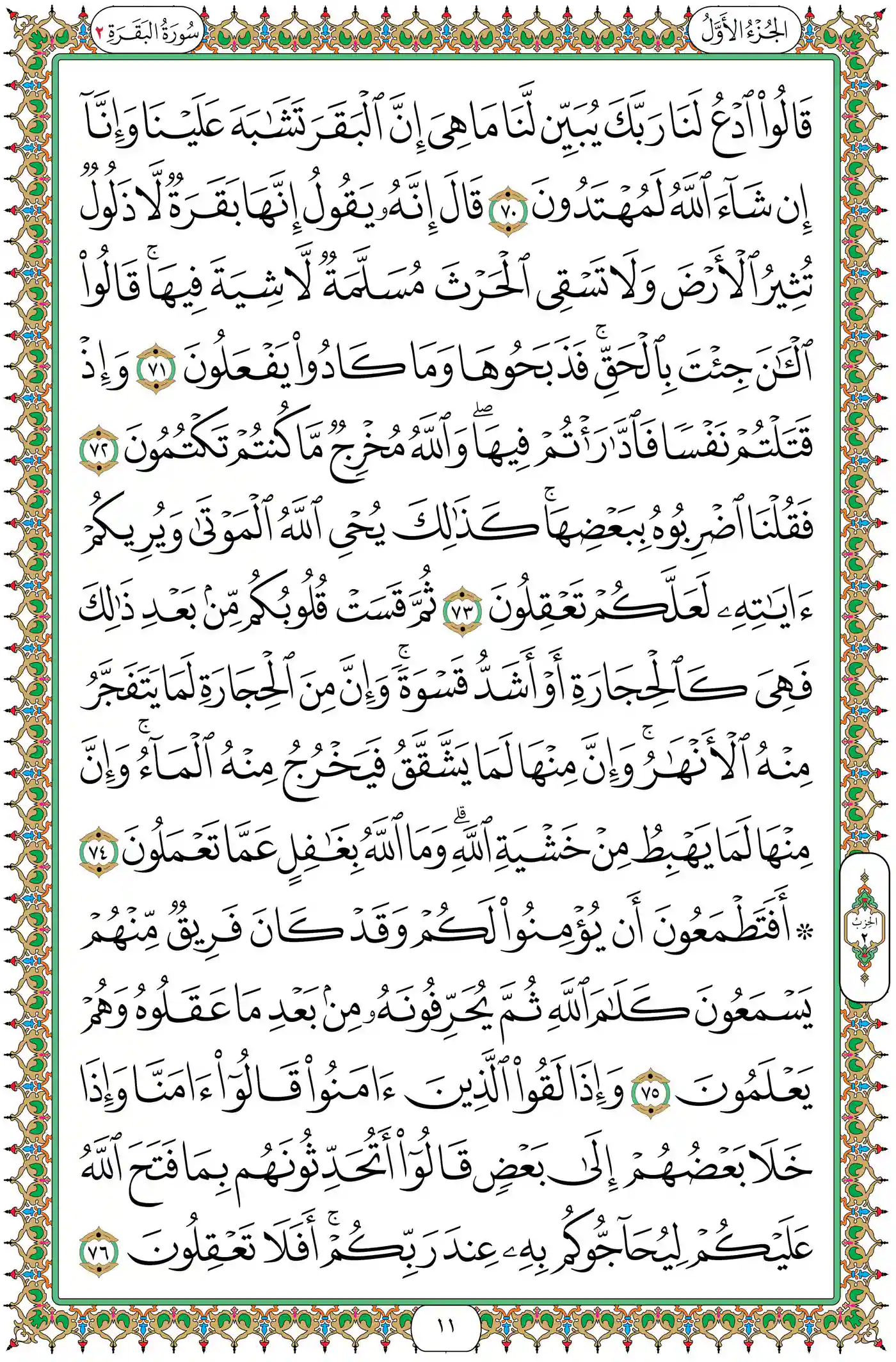 صفحة 11