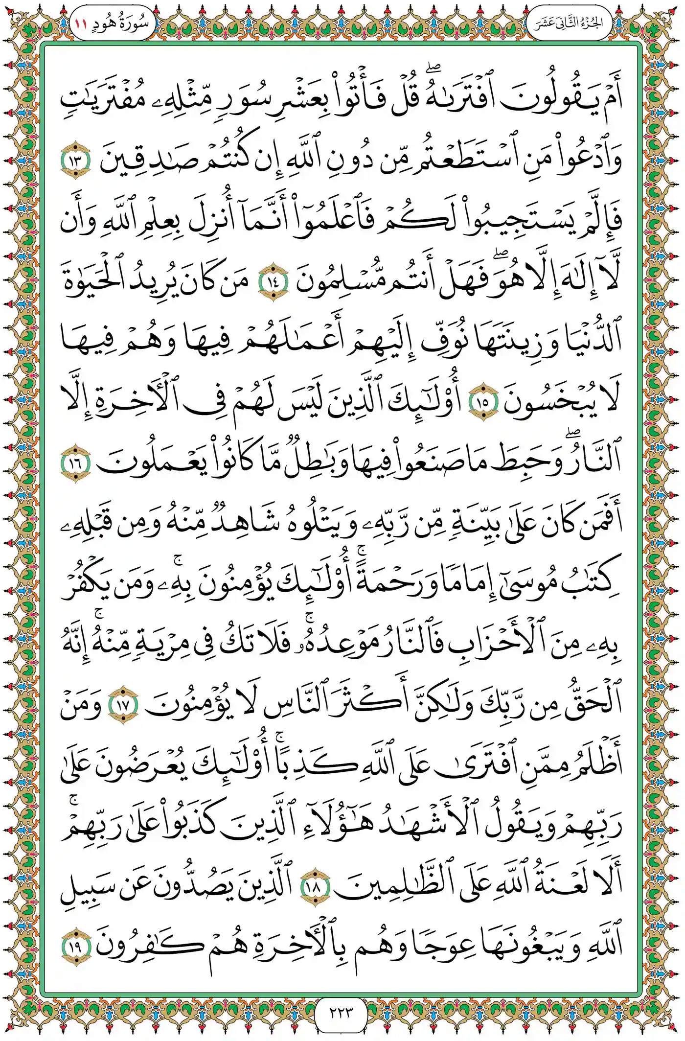صفحة 223