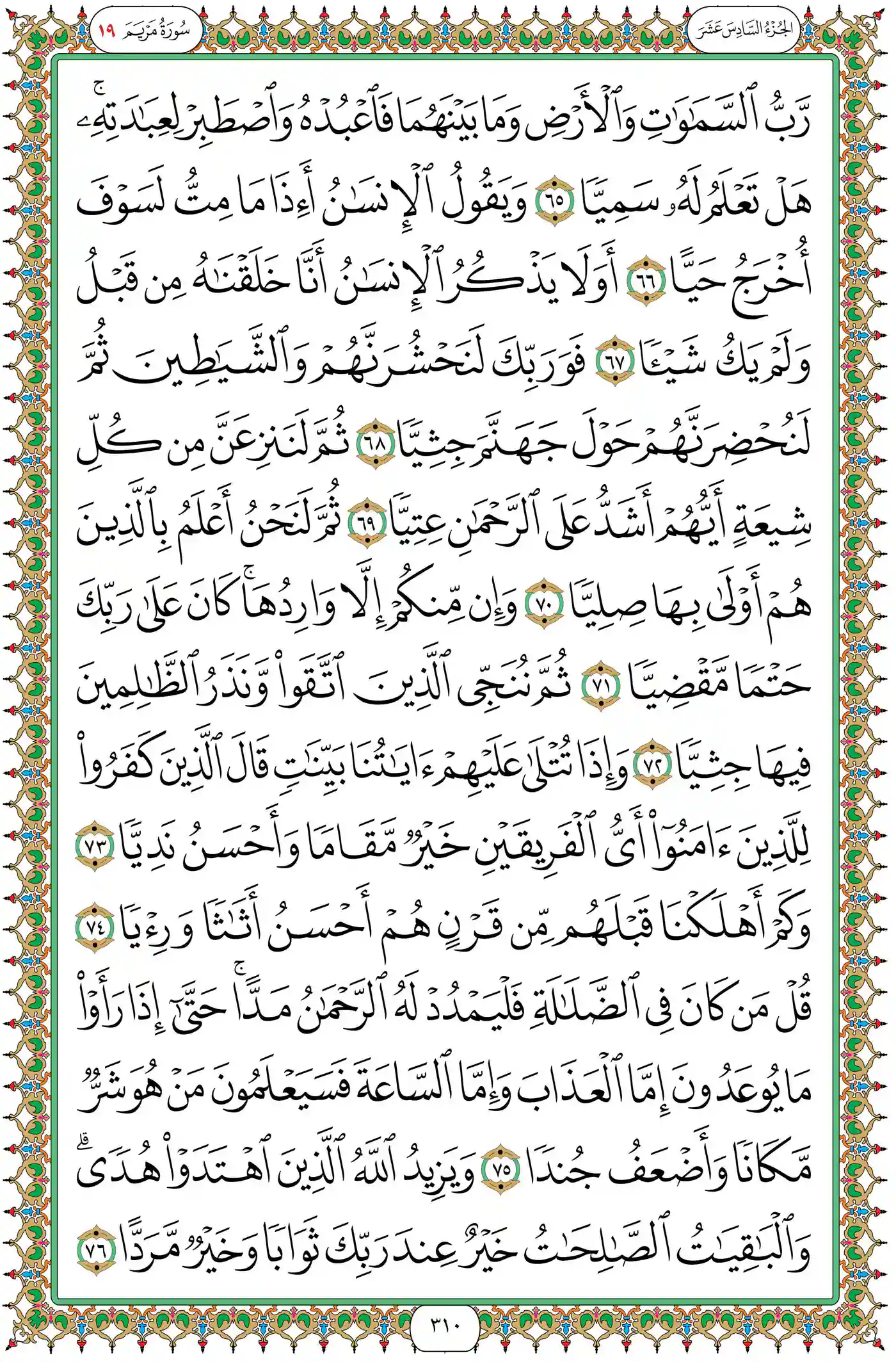 صفحة 310