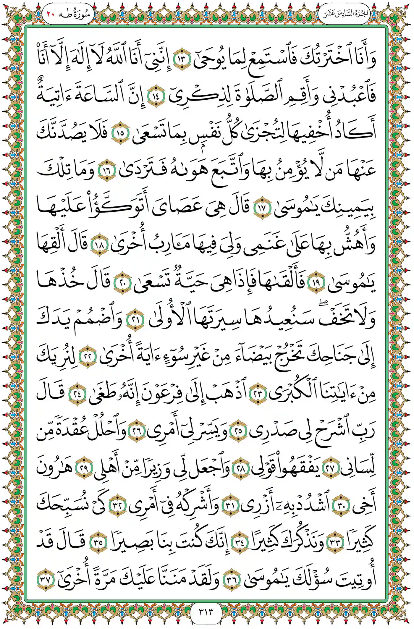 صفحة 313