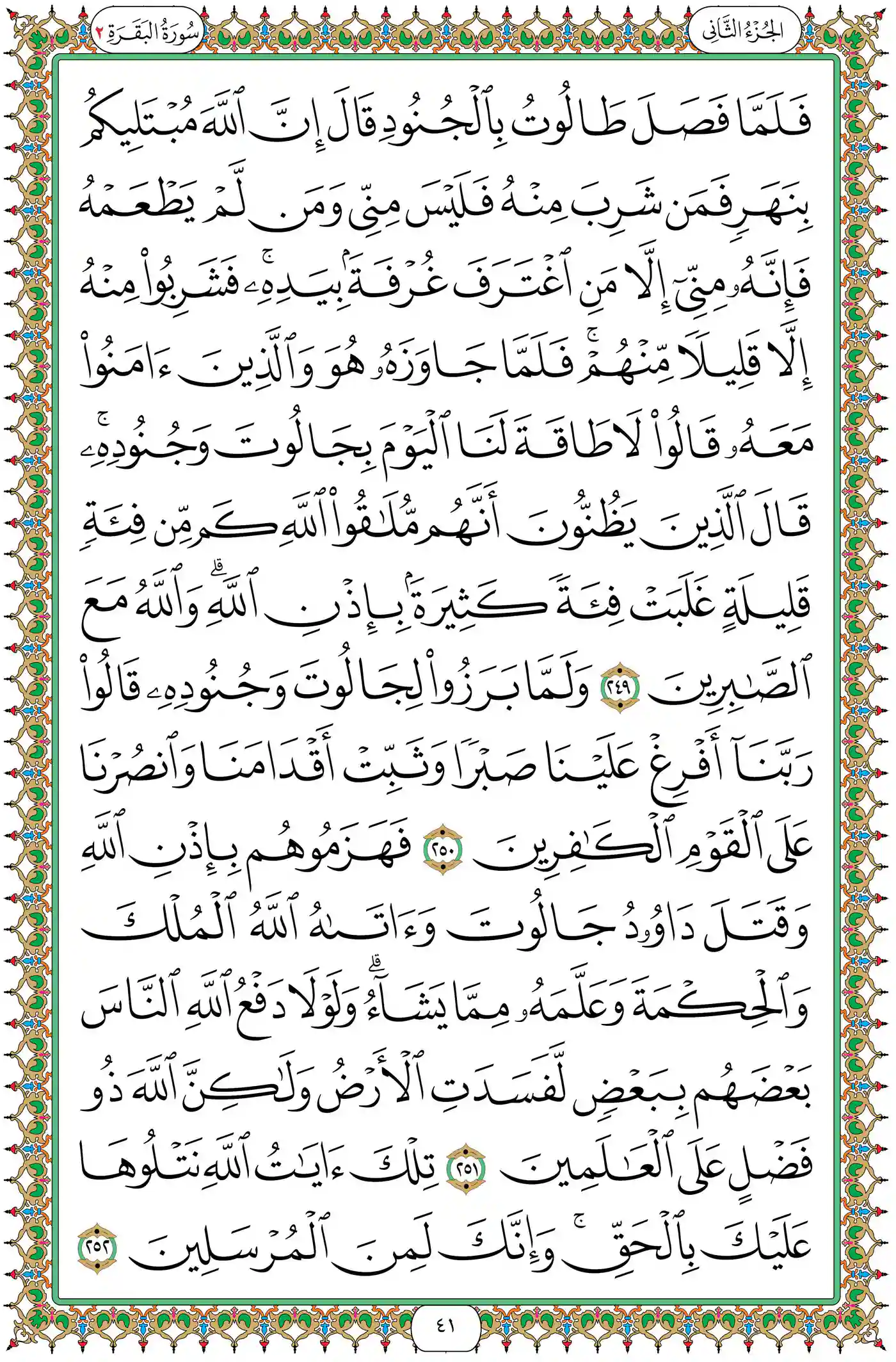 صفحة 41