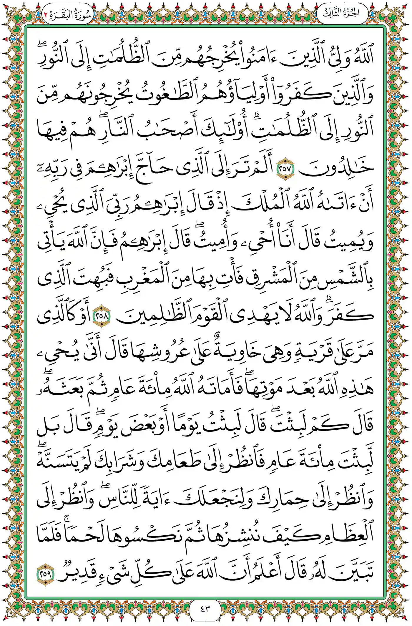 صفحة 43