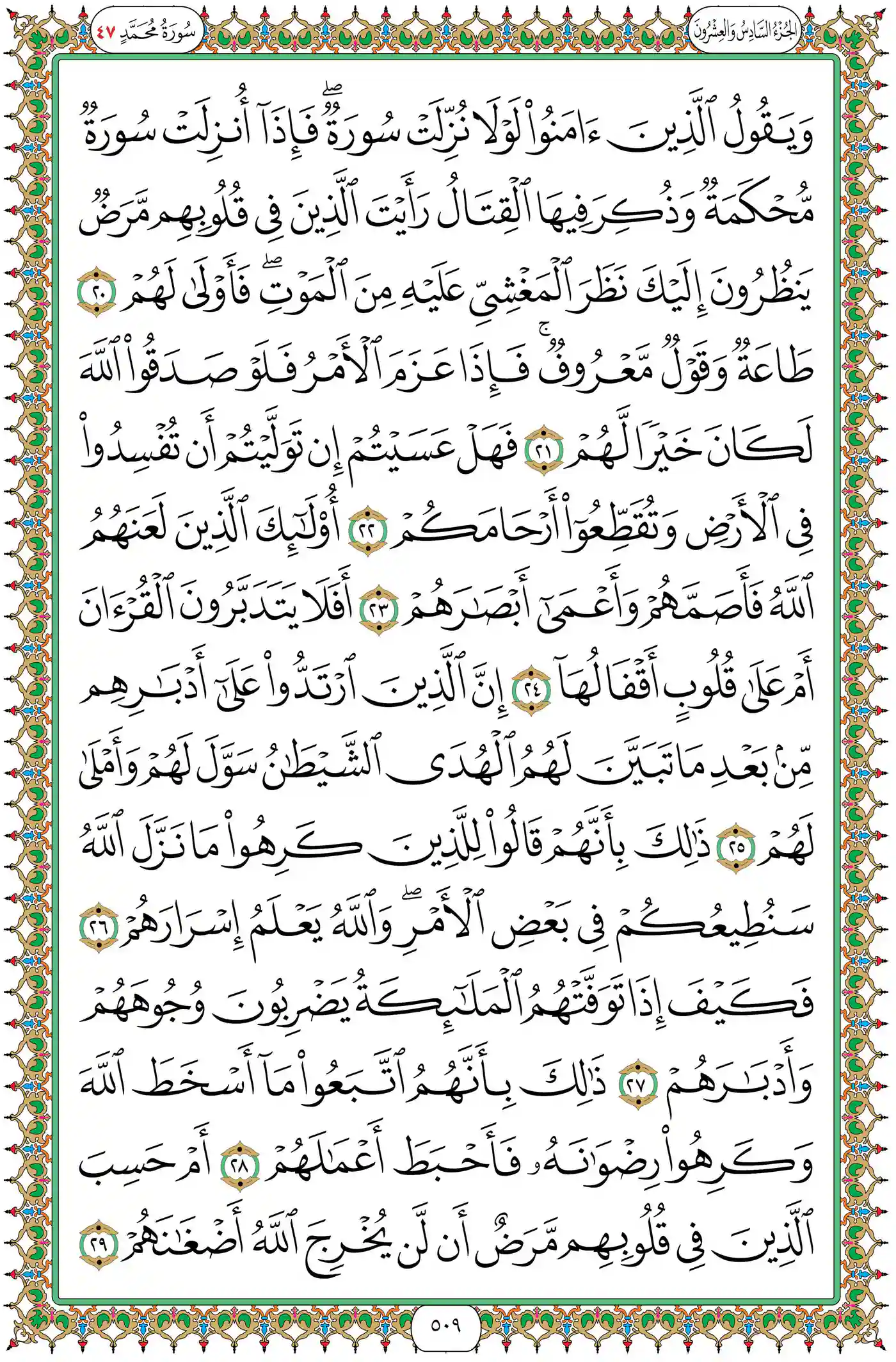 صفحة 509