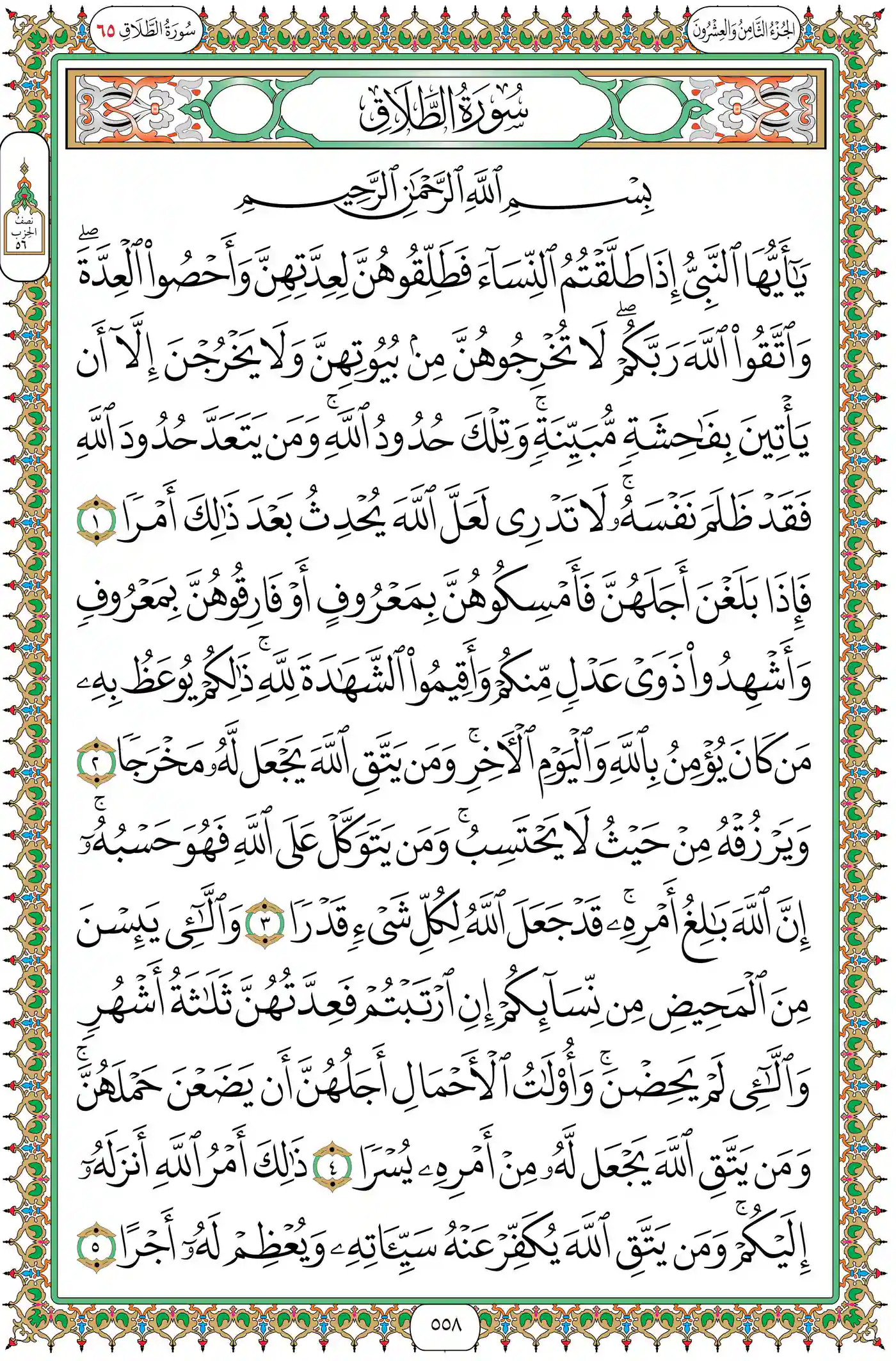 صفحة 558