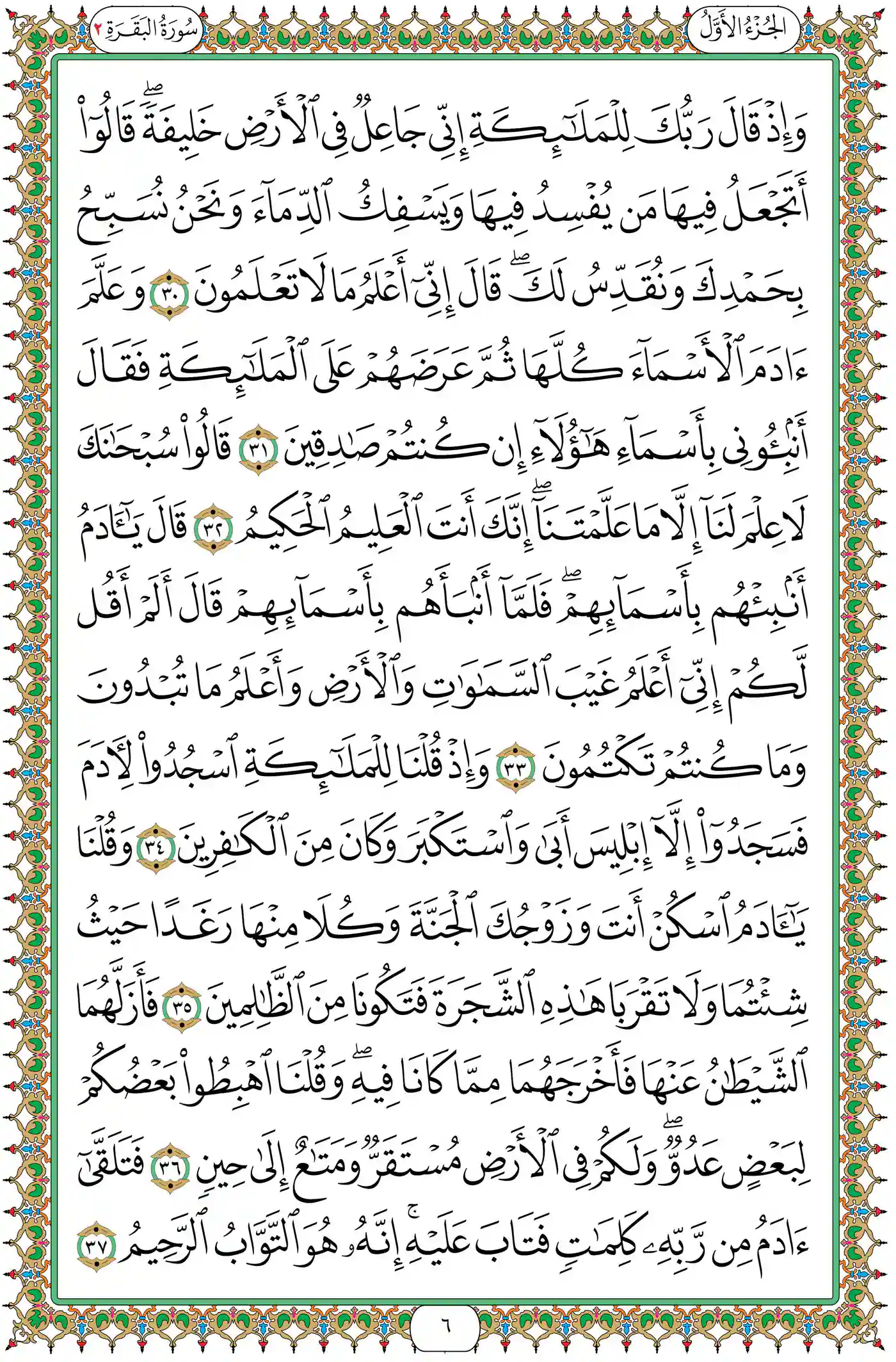 صفحة 6