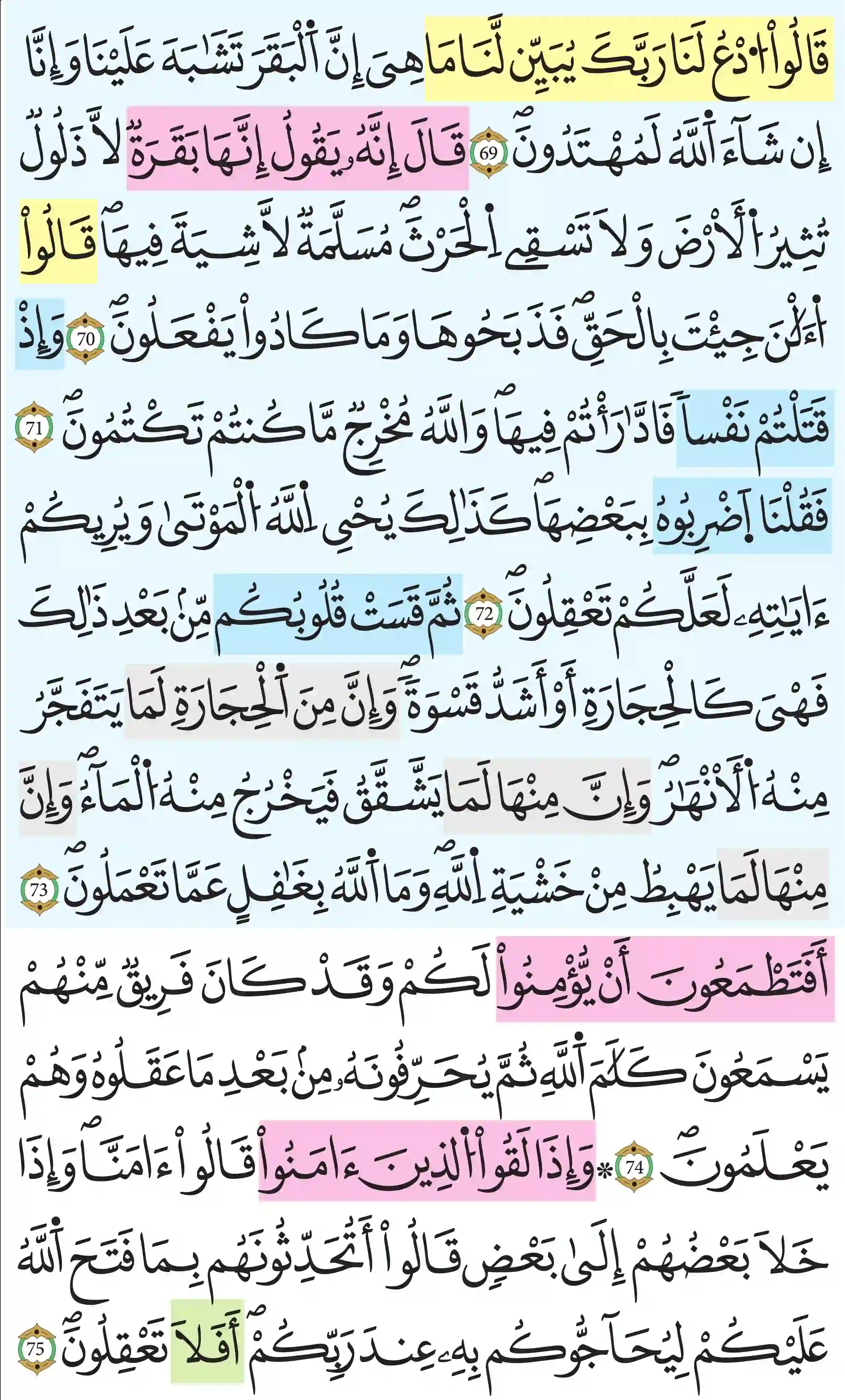 صفحة 11