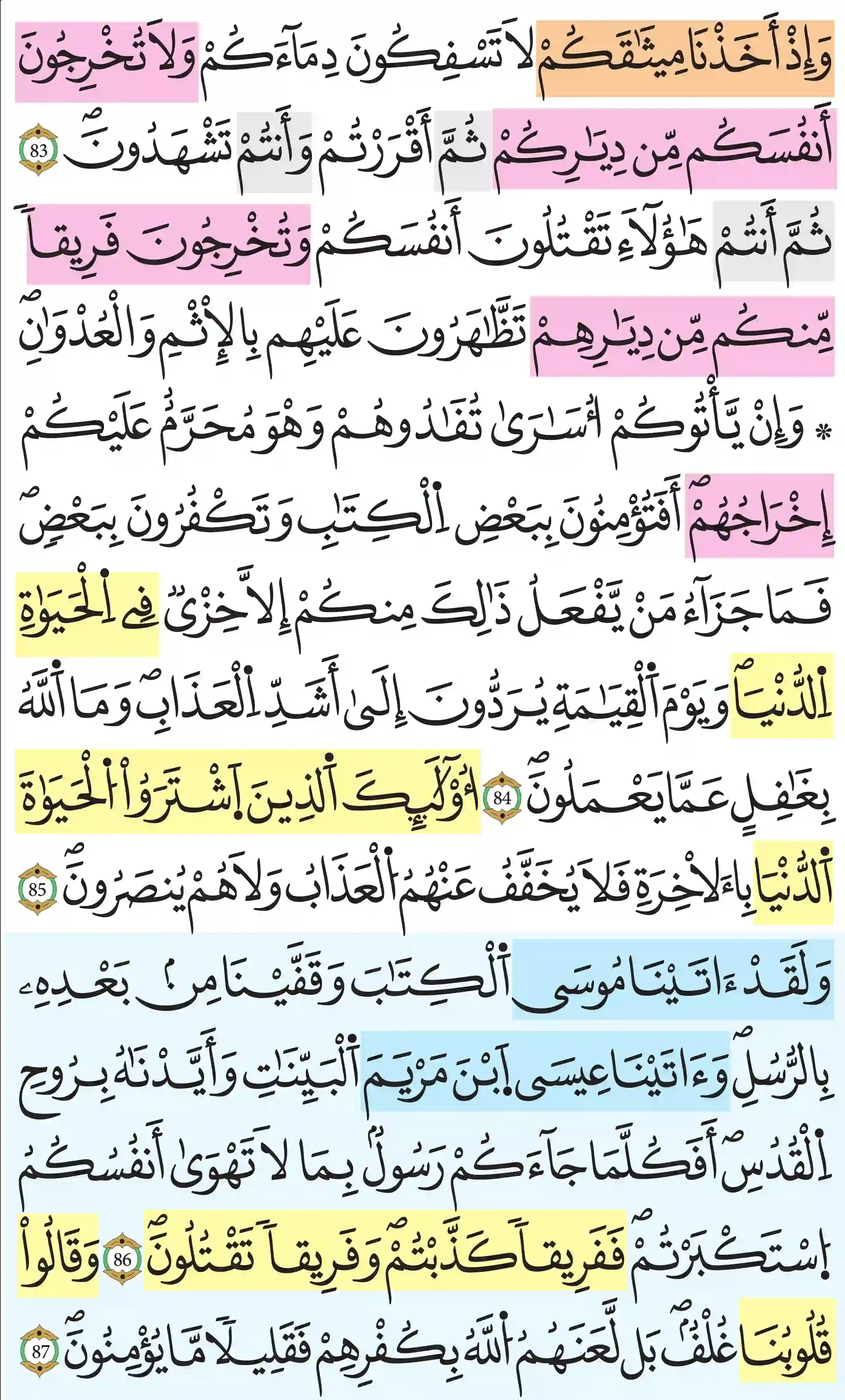 صفحة 13