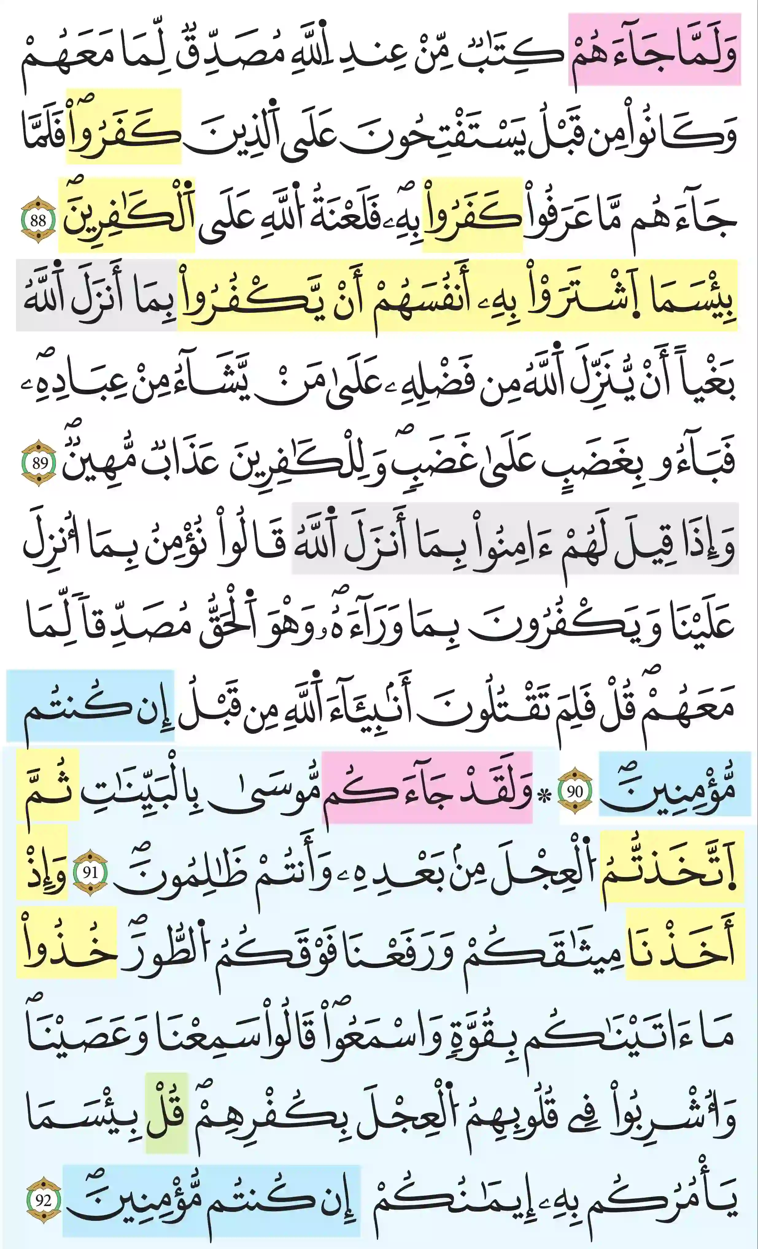 صفحة 14