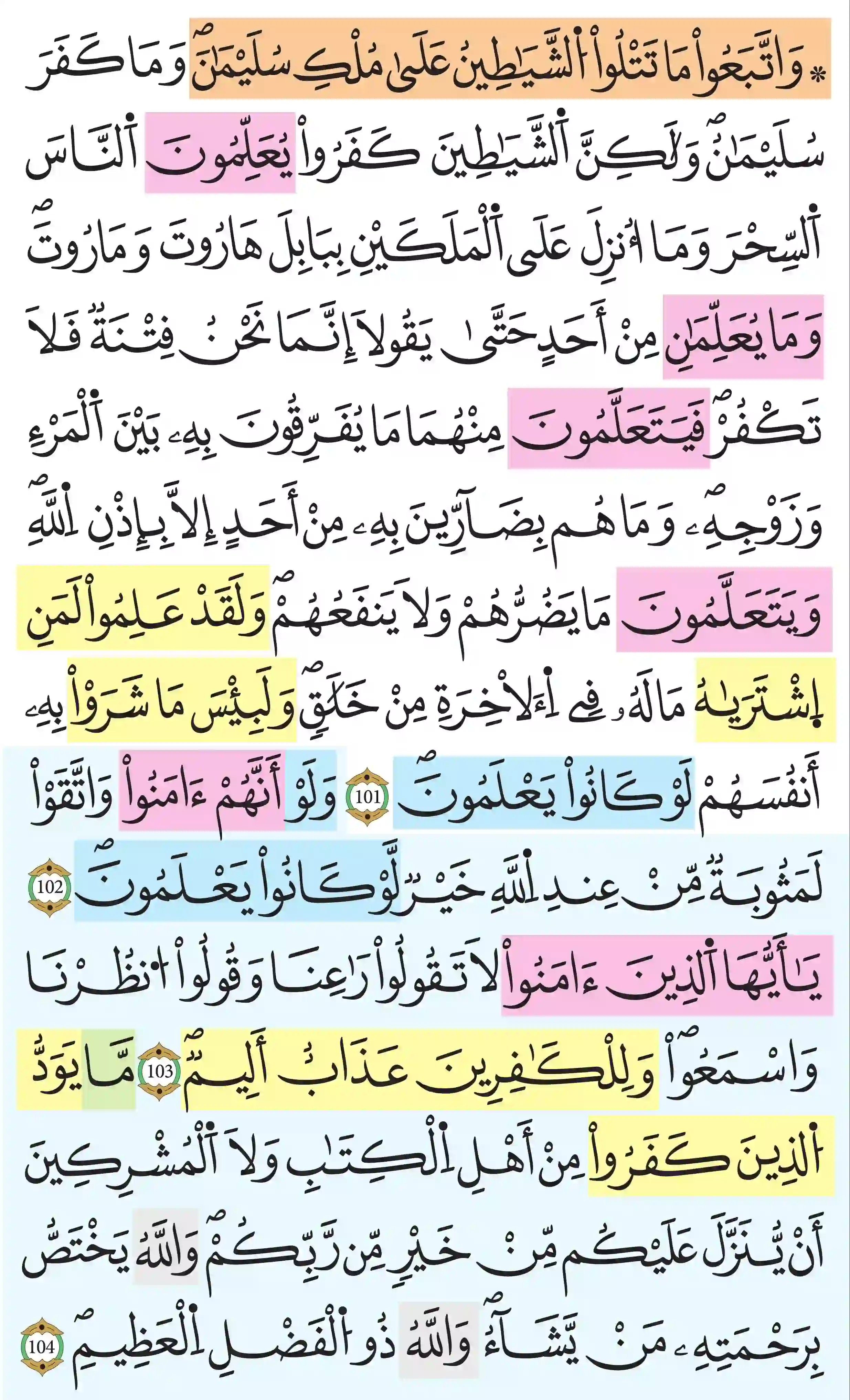 صفحة 16