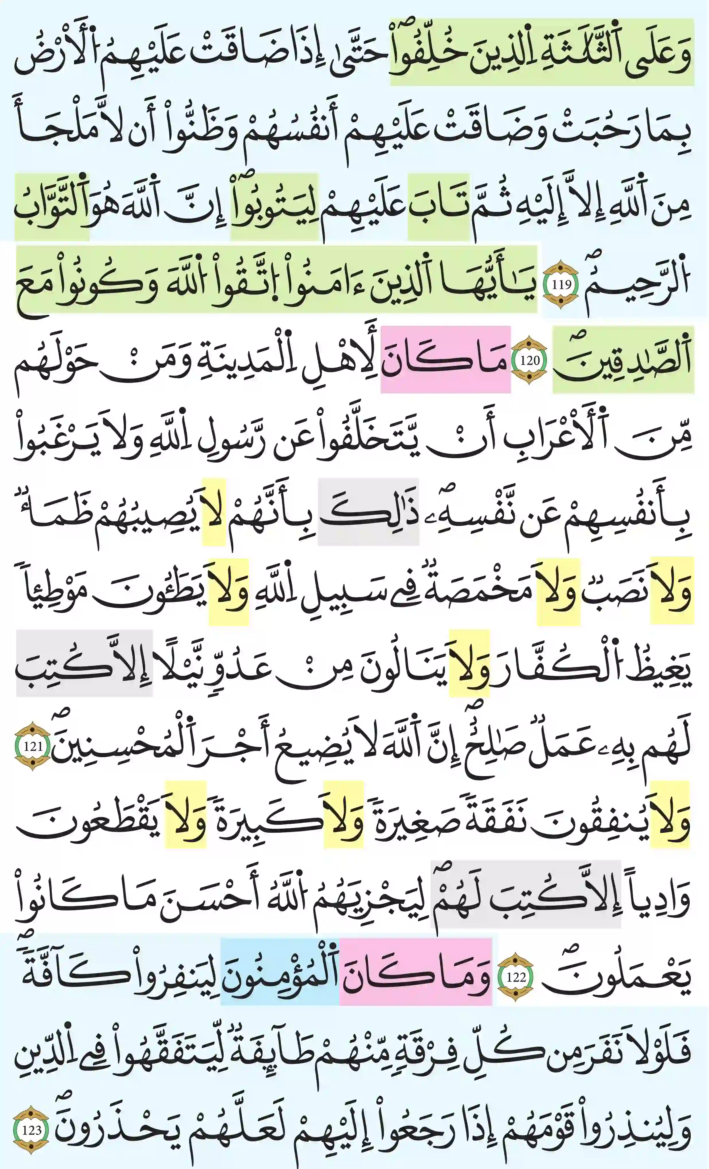 صفحة 206