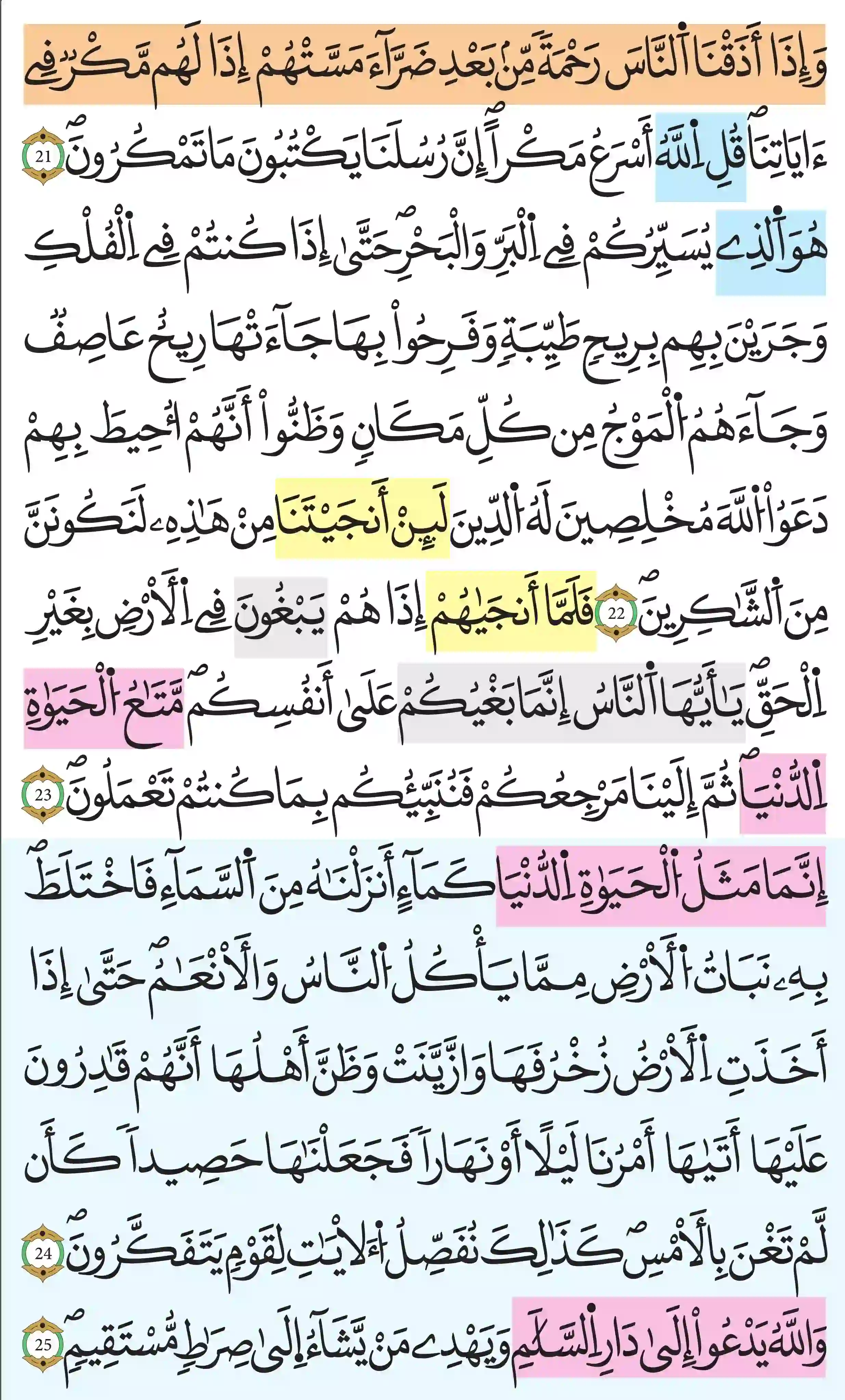 صفحة 211