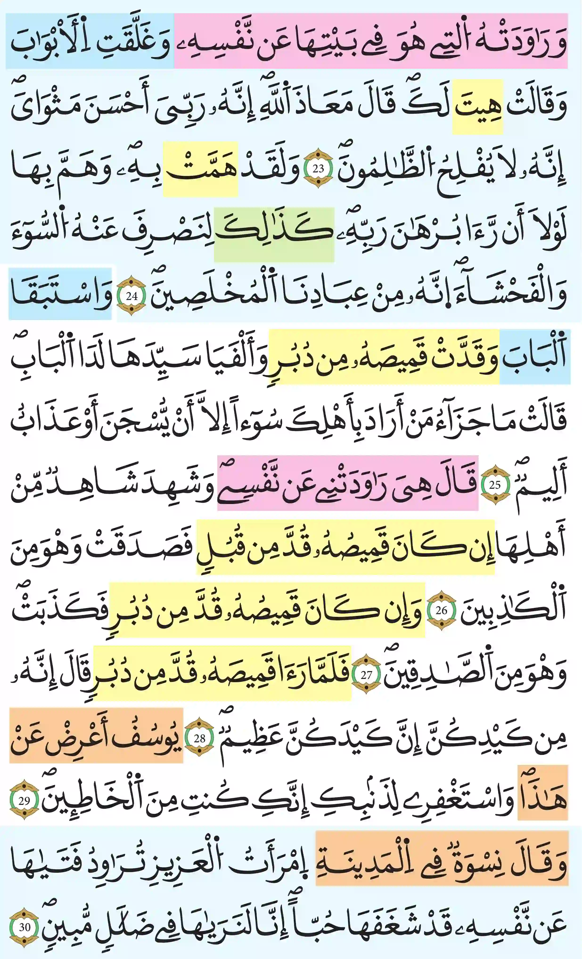 صفحة 238
