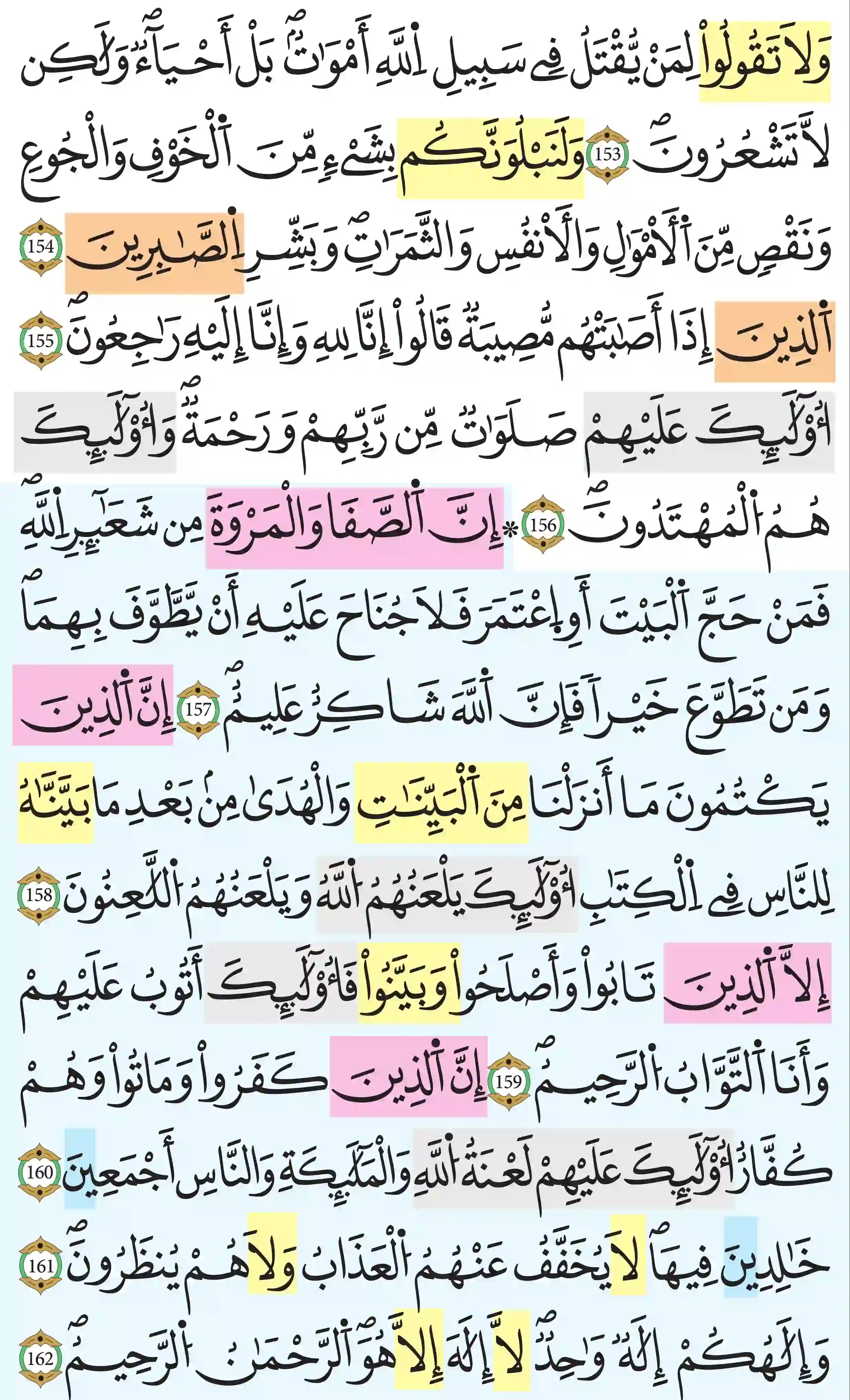 صفحة 24