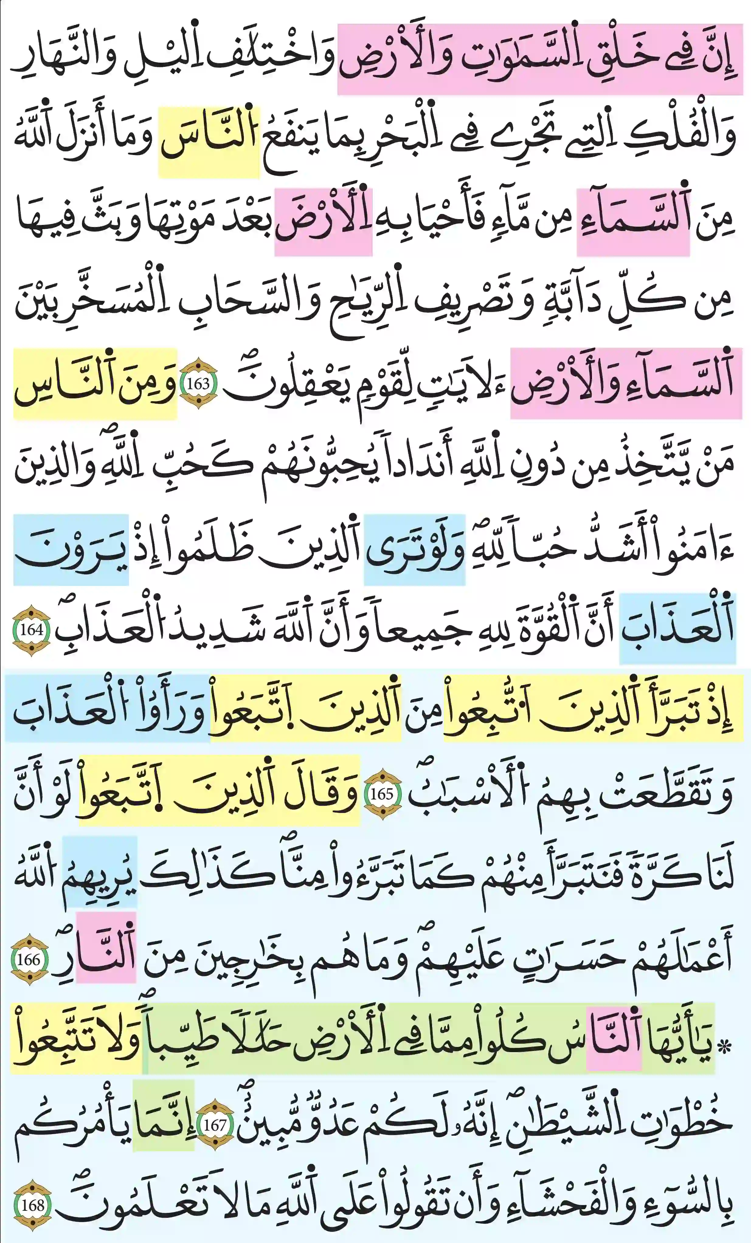 صفحة 25