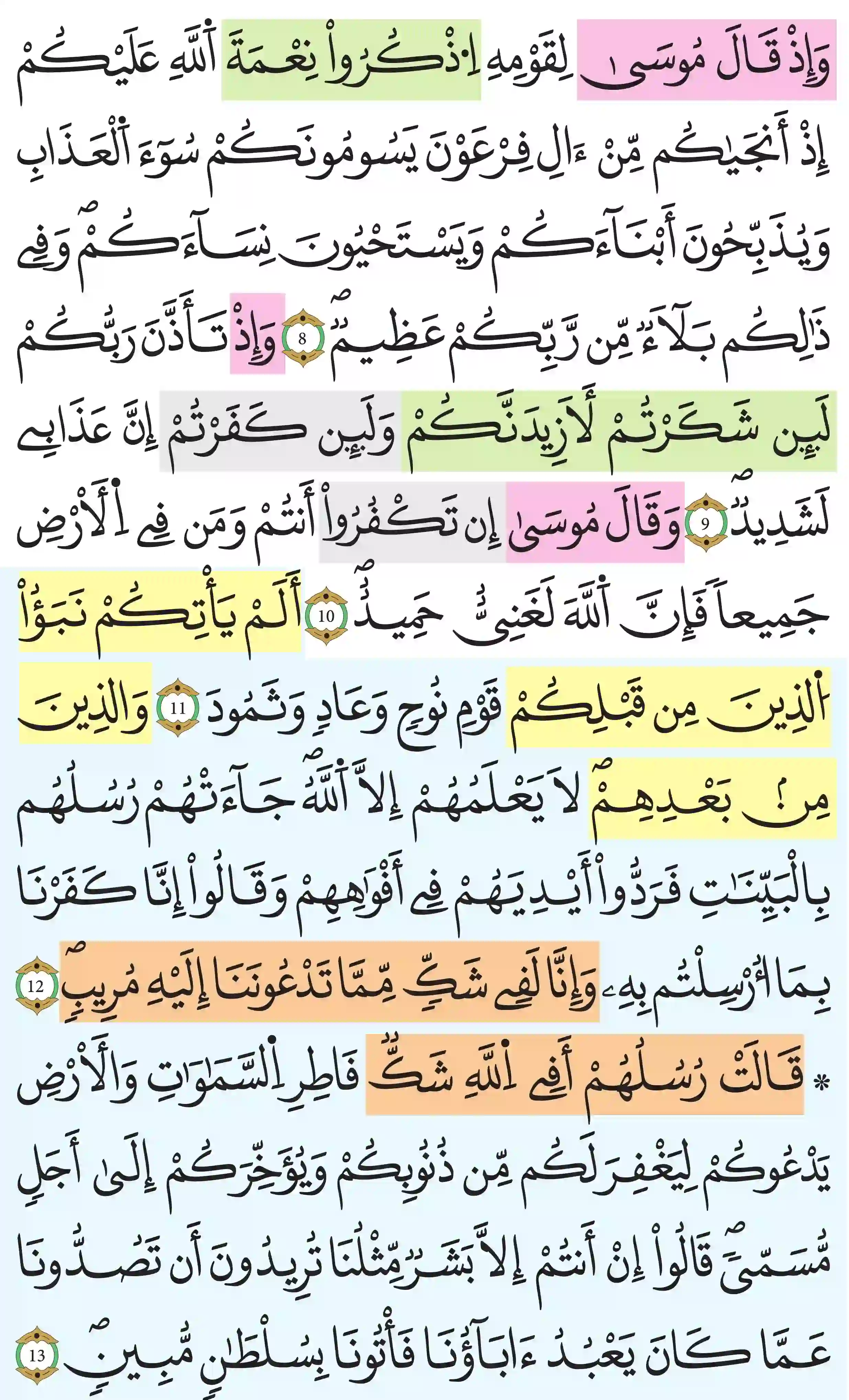 صفحة 256