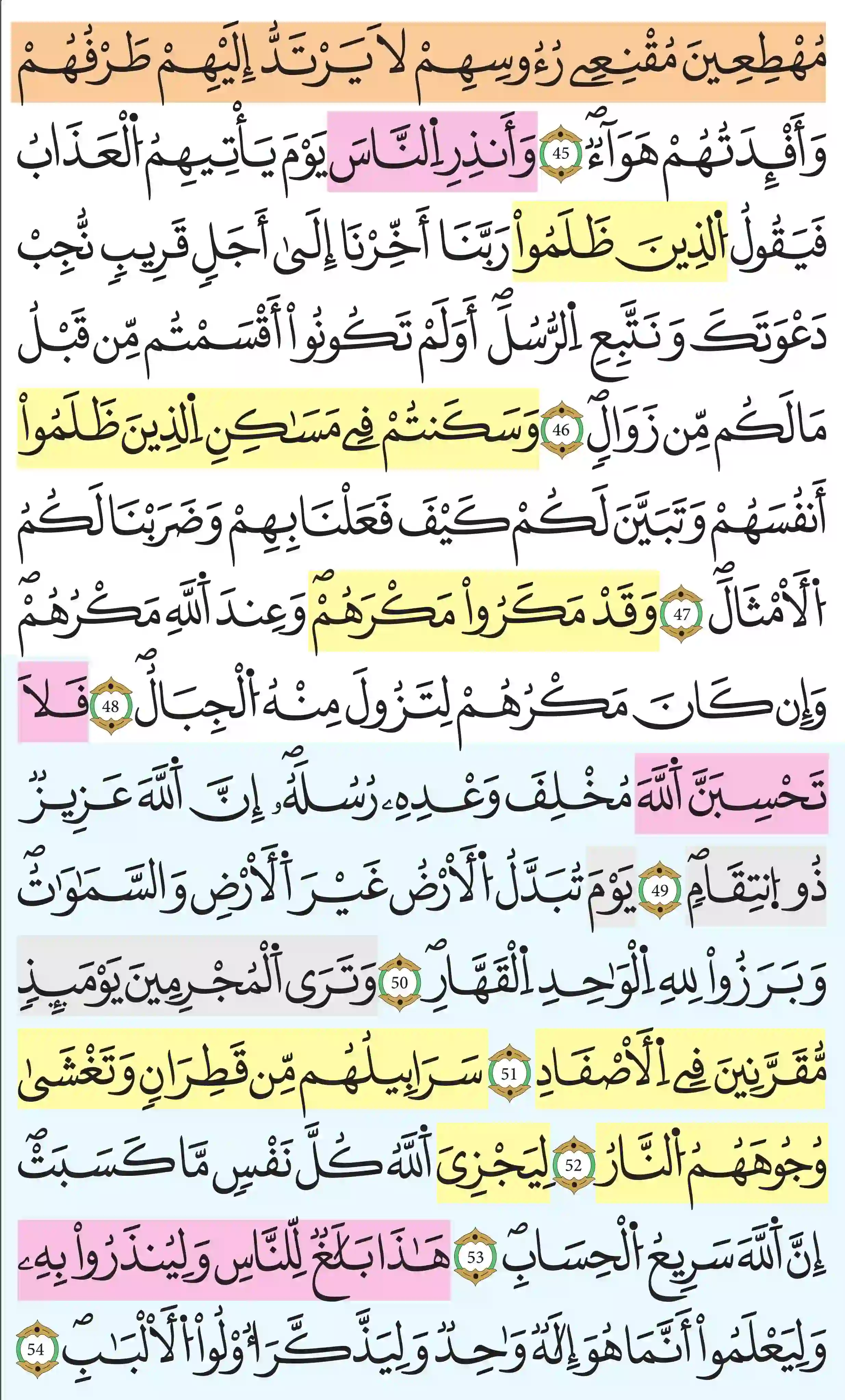 صفحة 261