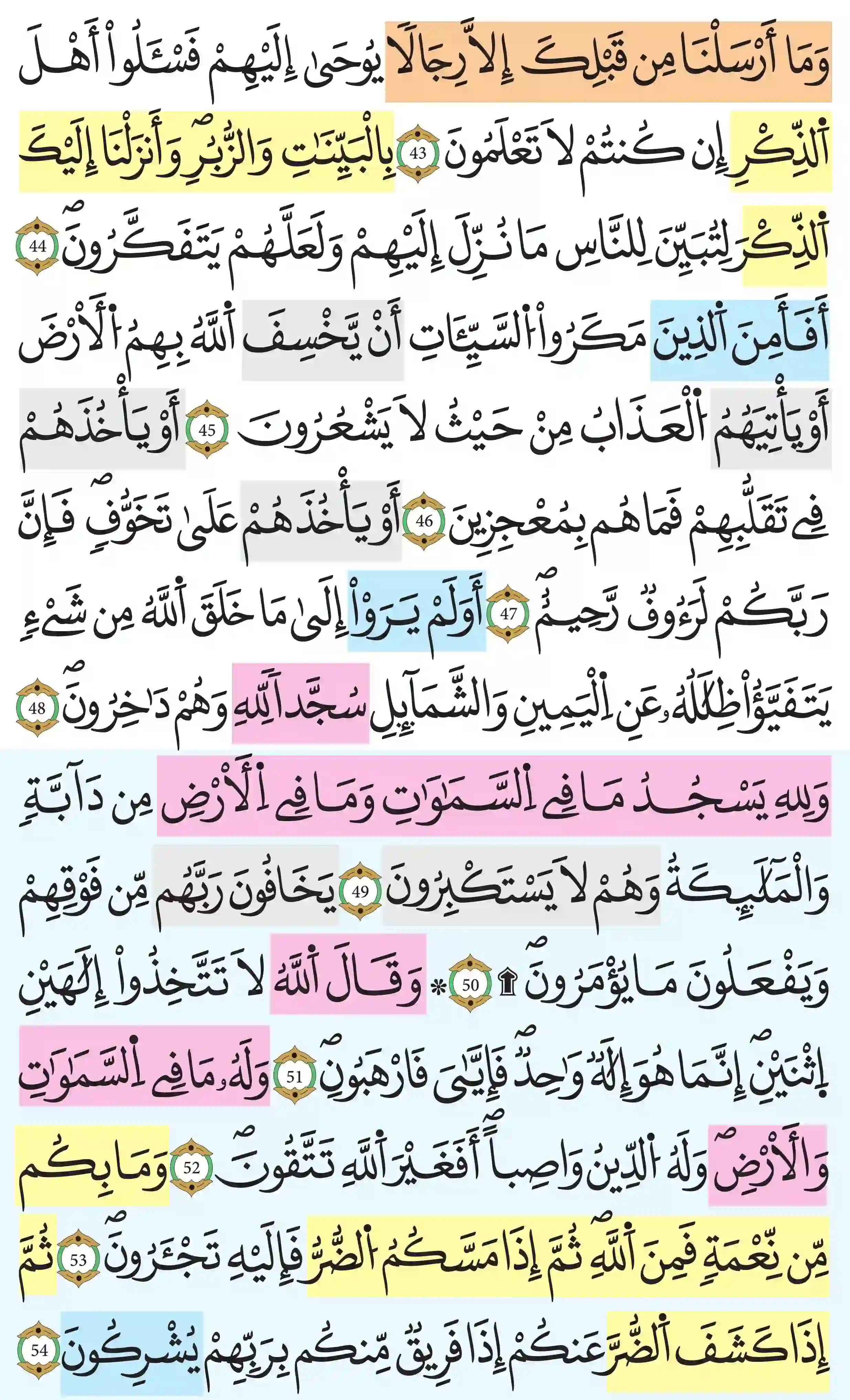 صفحة 272