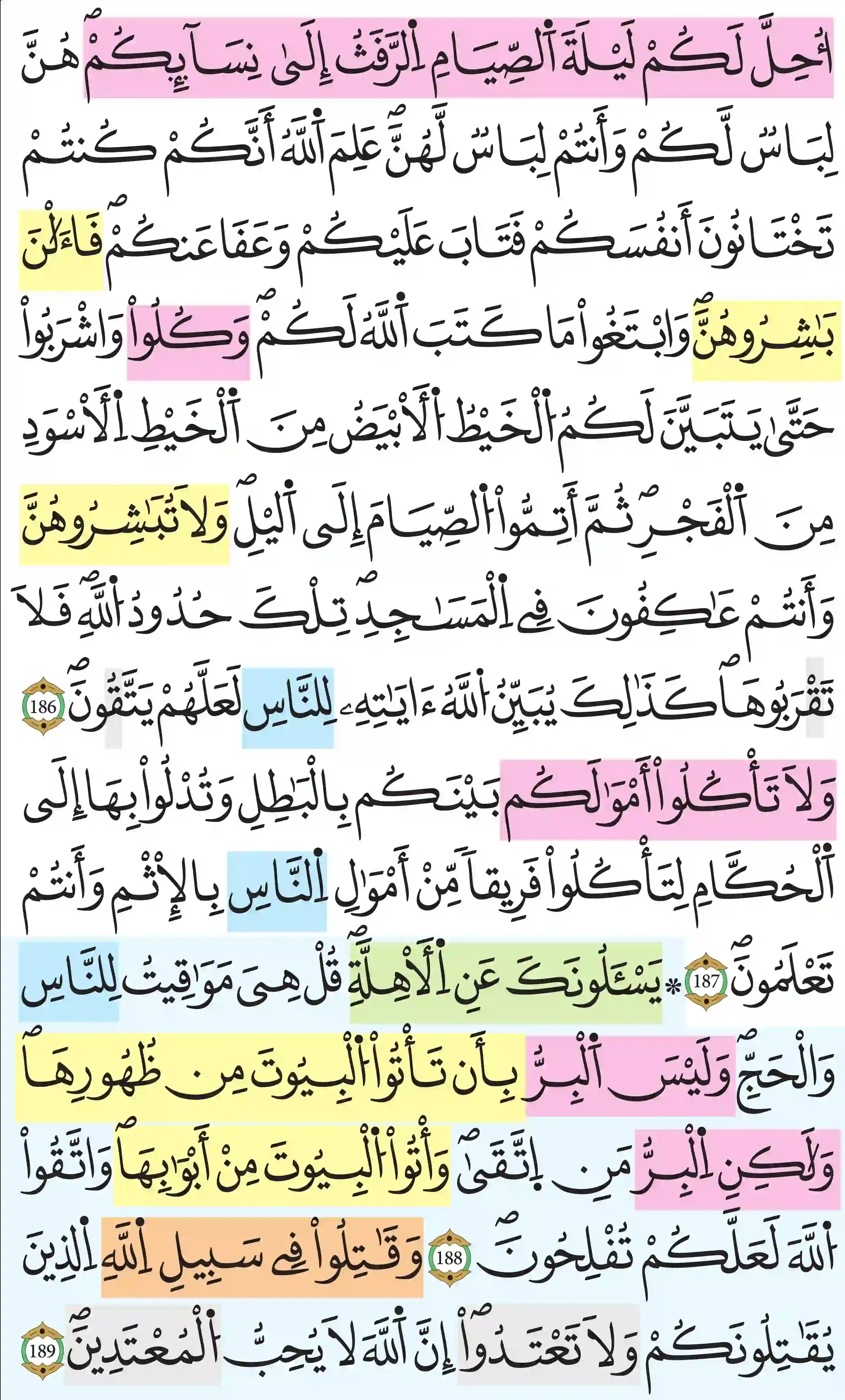صفحة 29