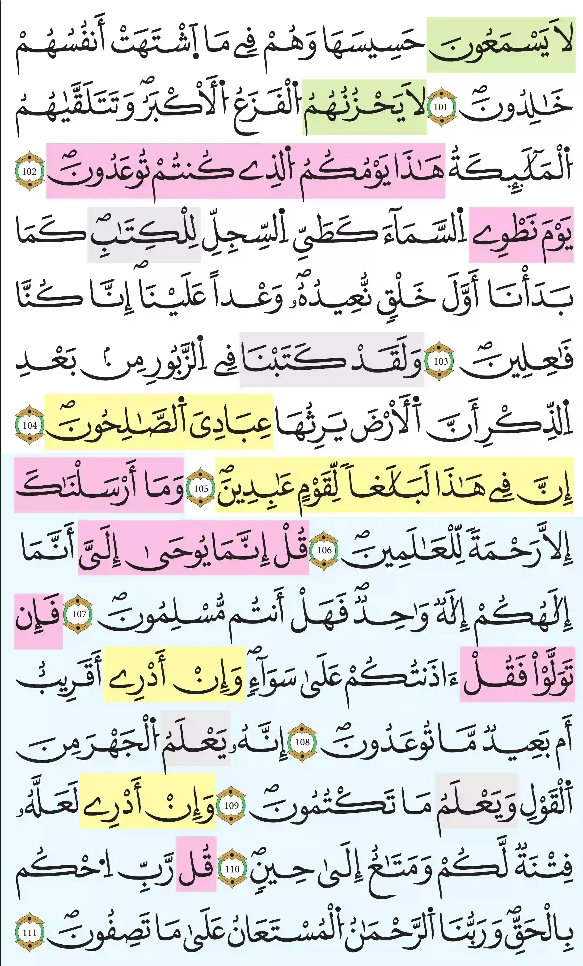 صفحة 331