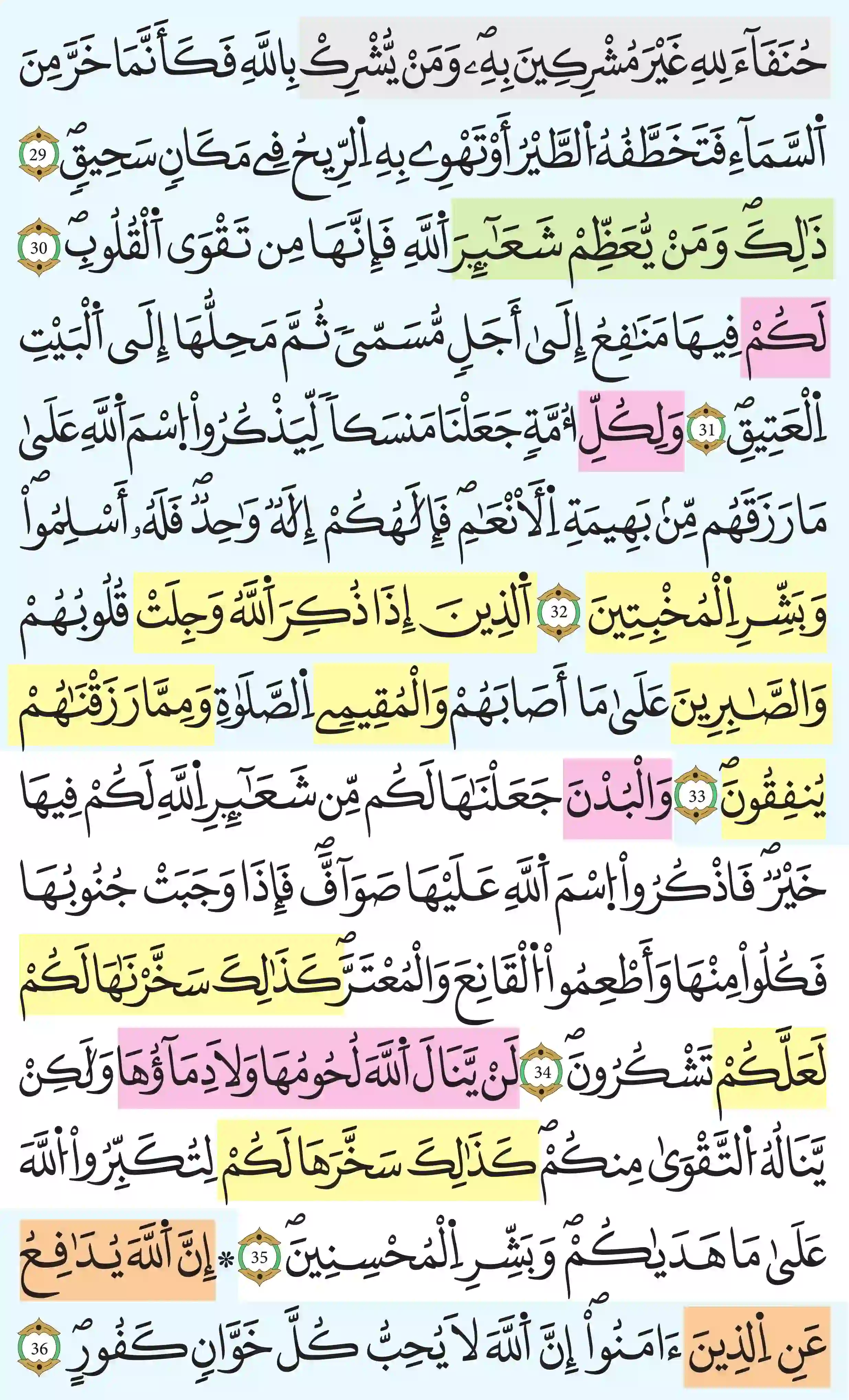 صفحة 336