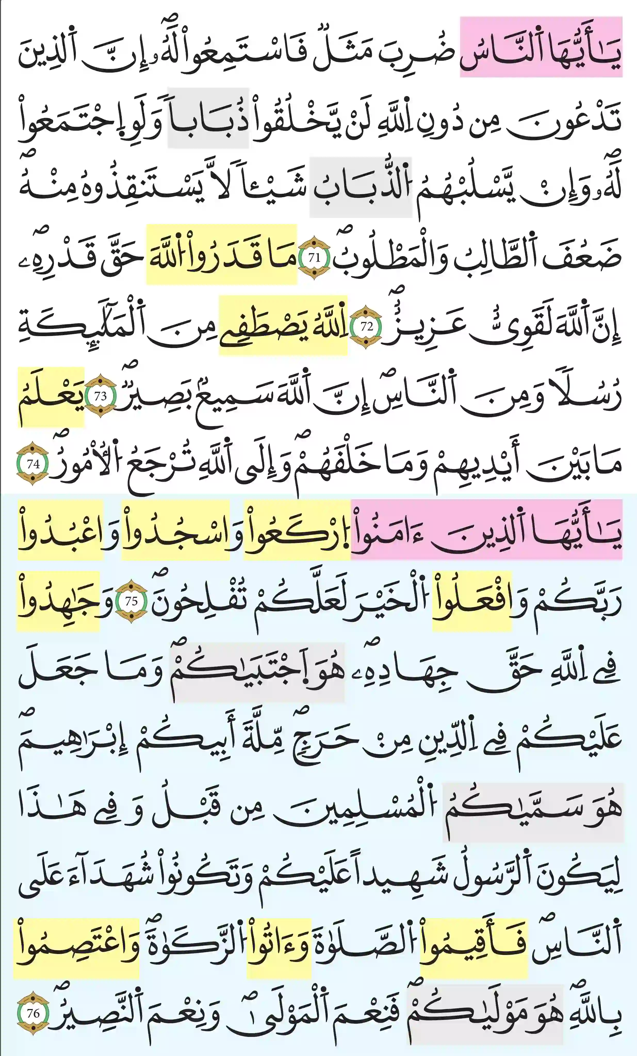 صفحة 341