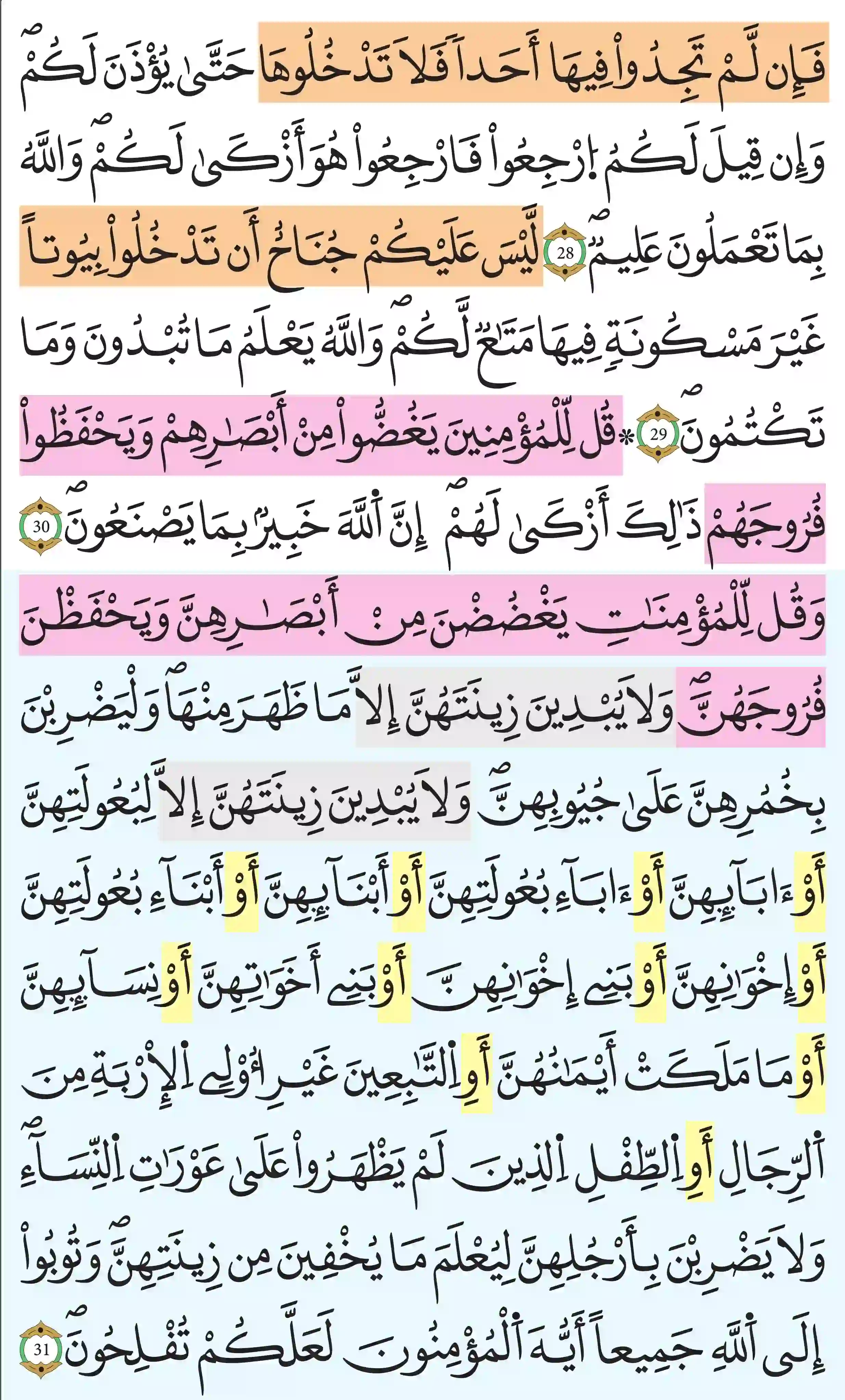 صفحة 353