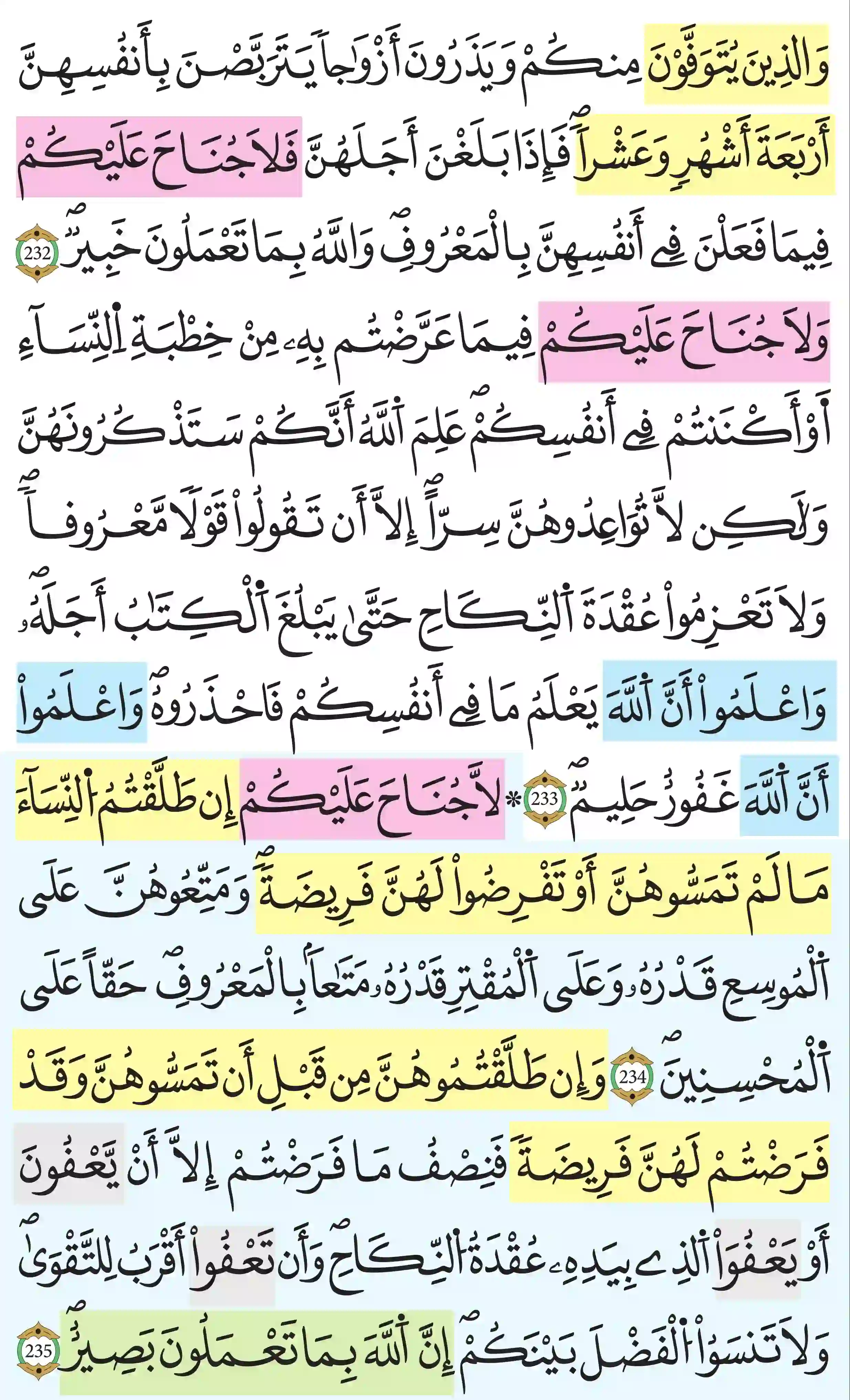 صفحة 38