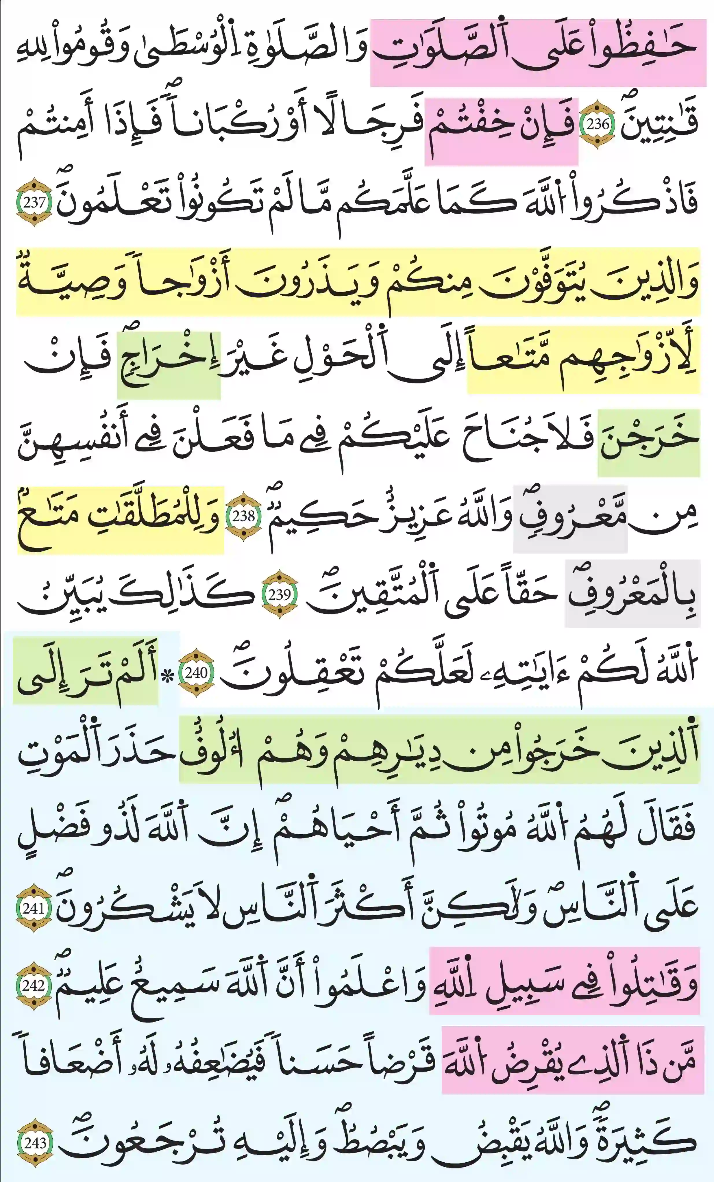 صفحة 39