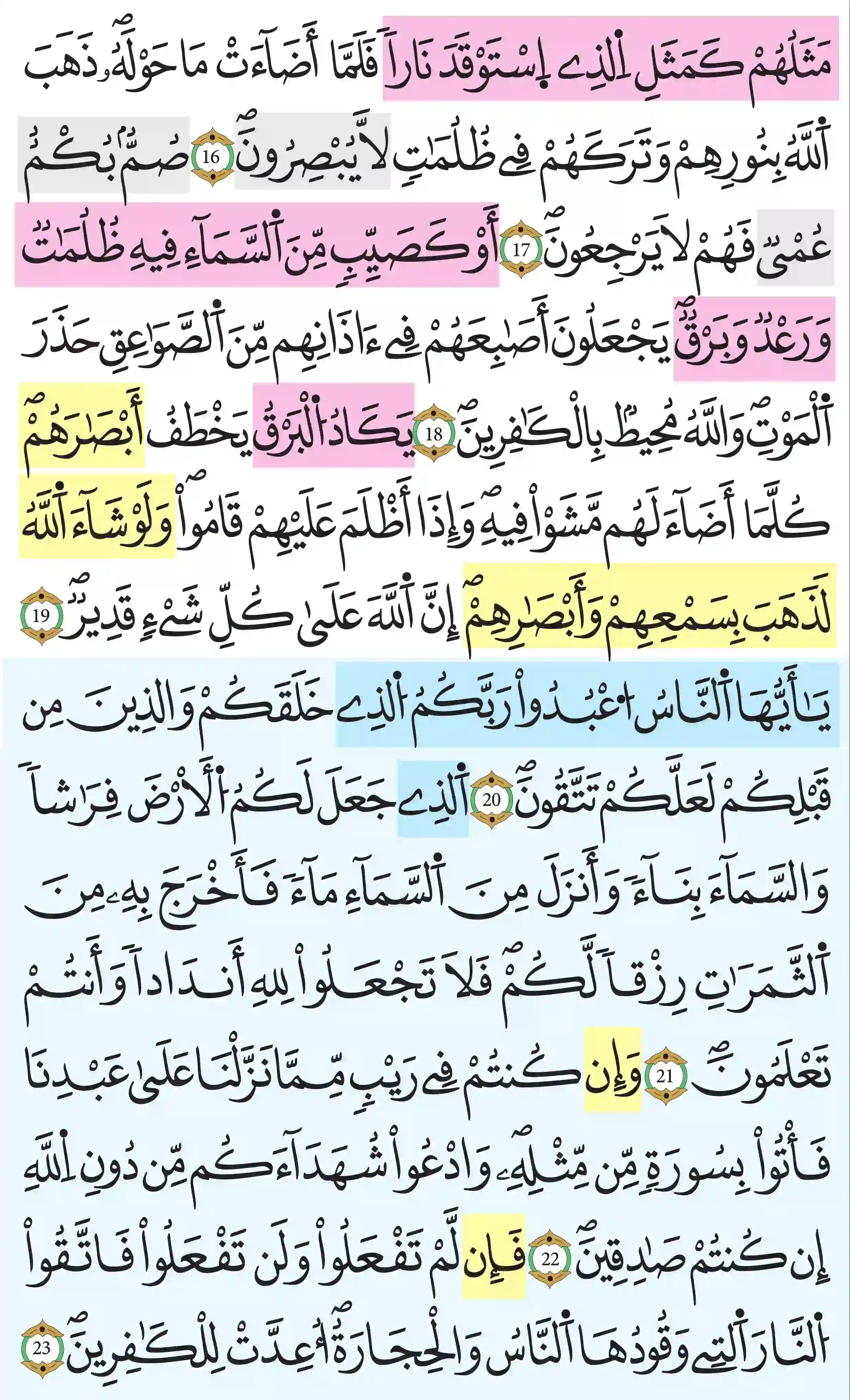 صفحة 4