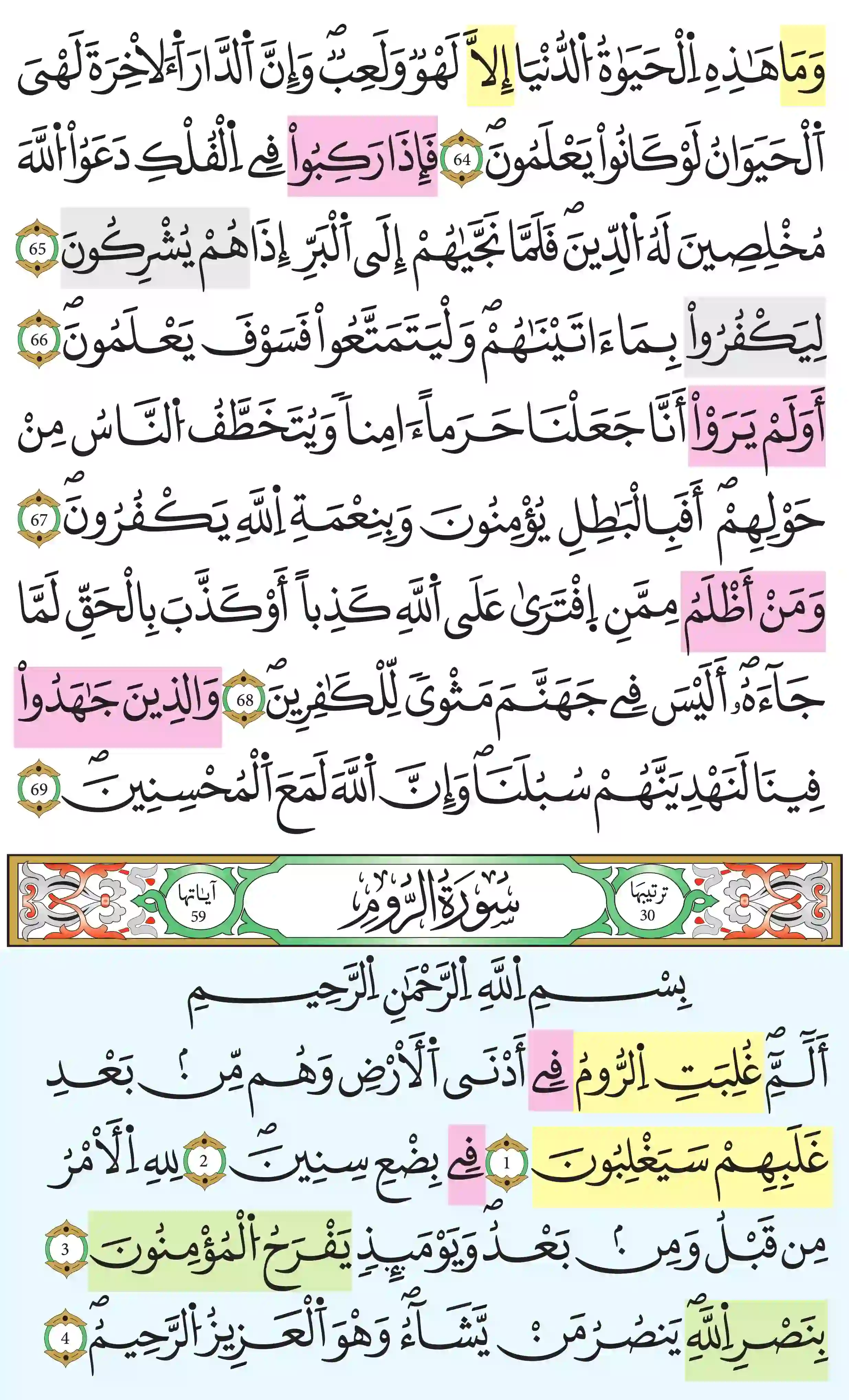 صفحة 404