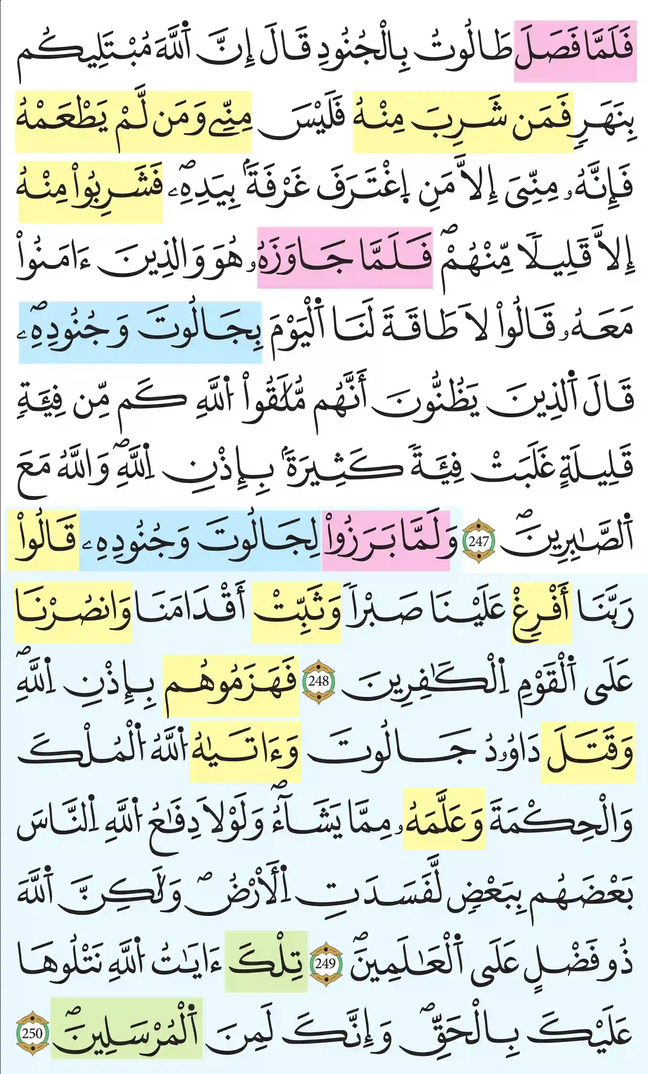 صفحة 41
