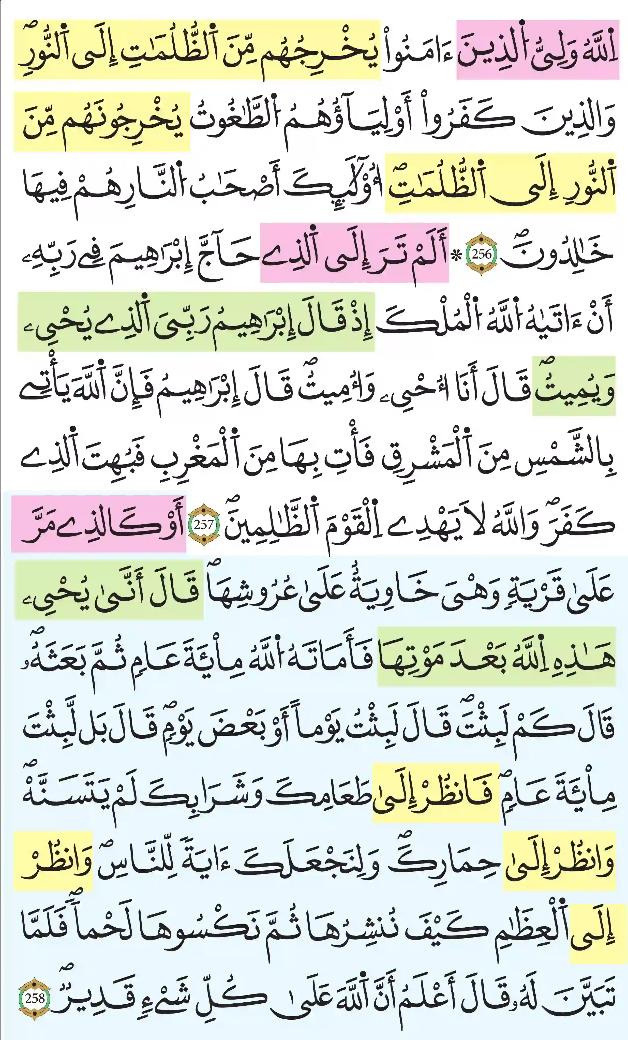 صفحة 43
