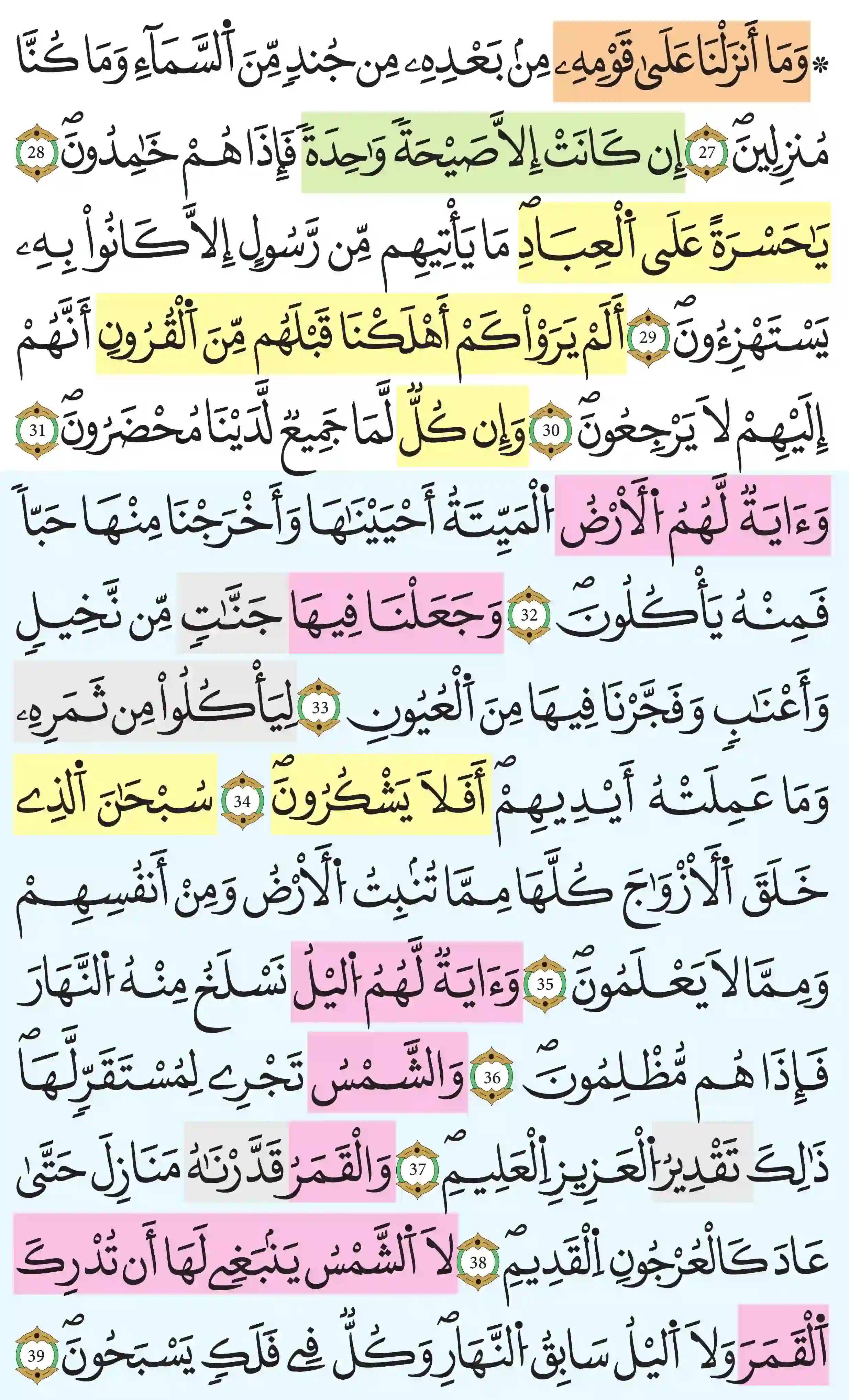 صفحة 442
