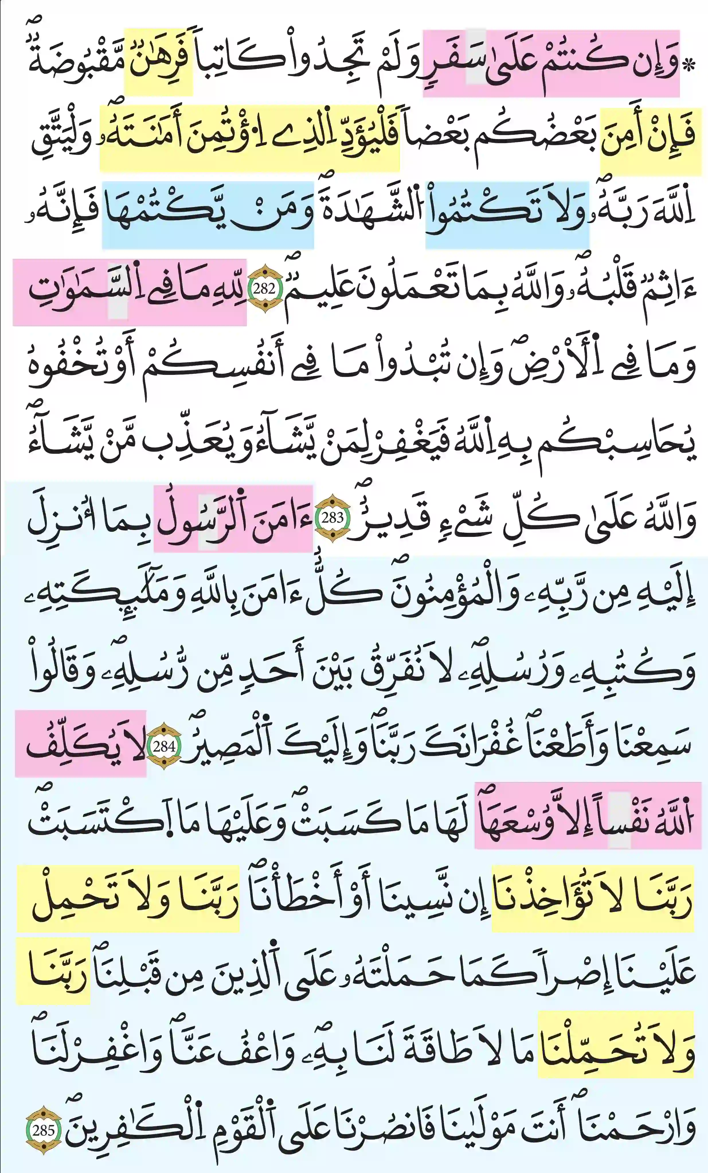 صفحة 49