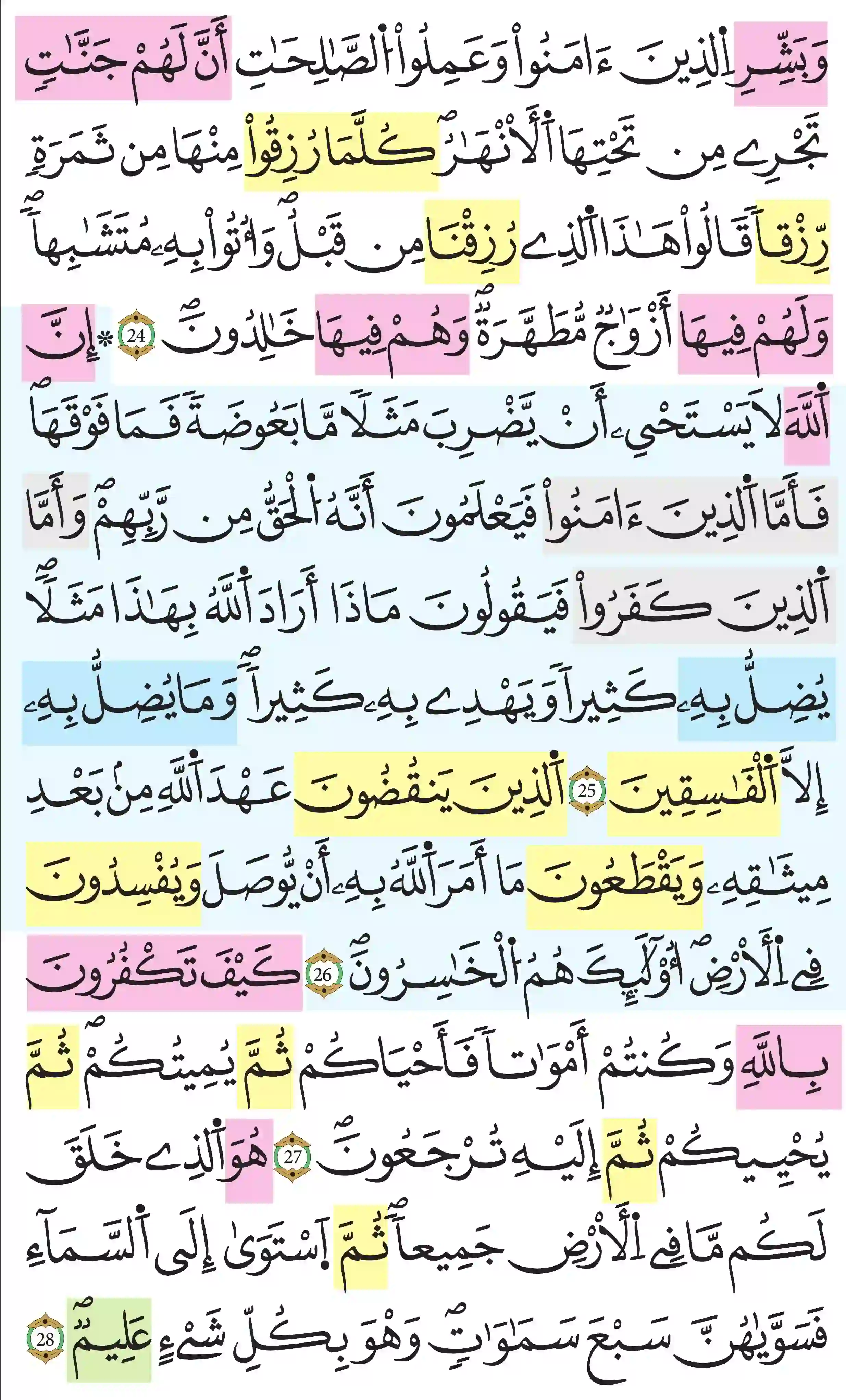 صفحة 5