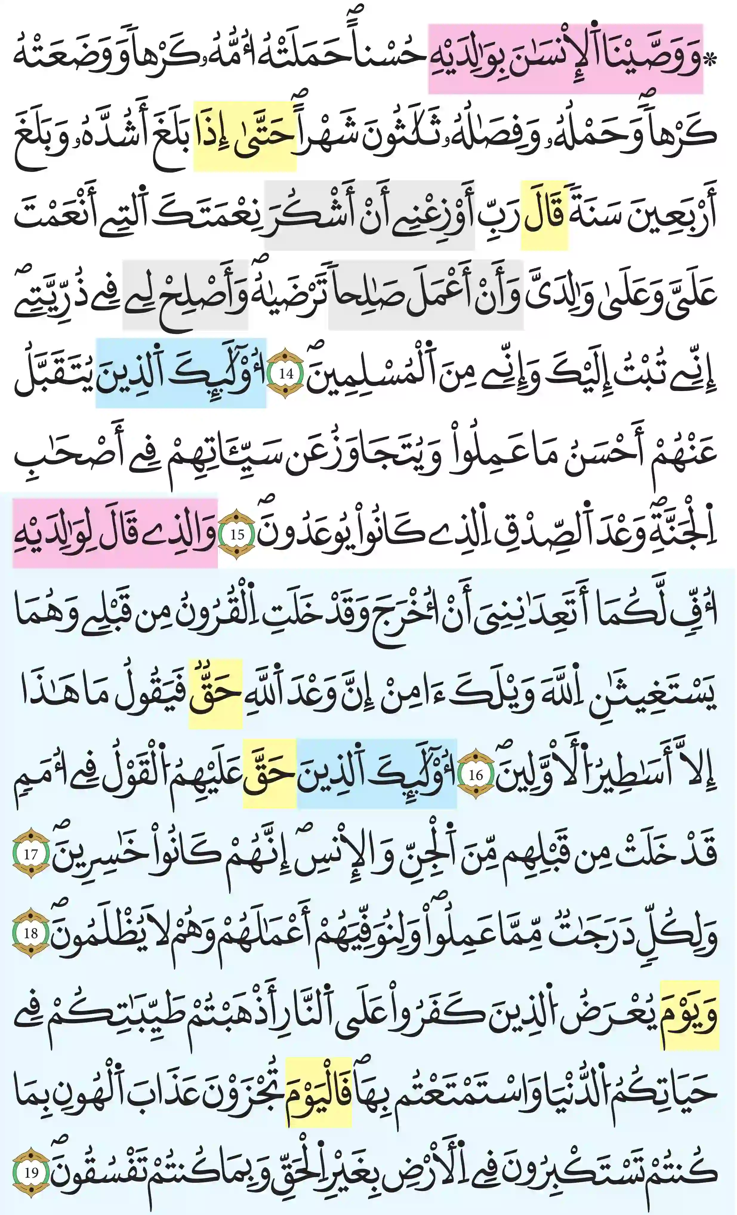 صفحة 504