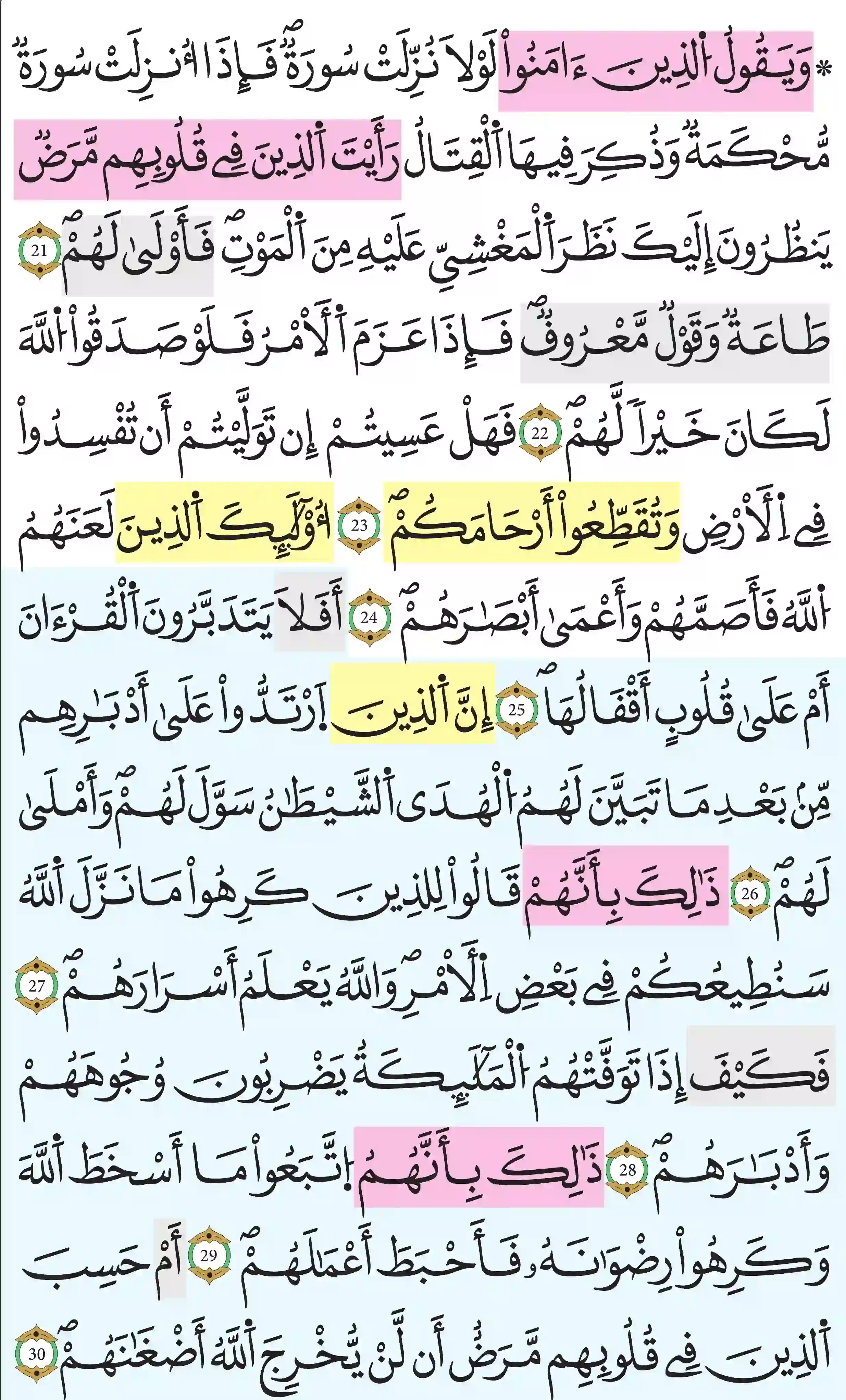 صفحة 509