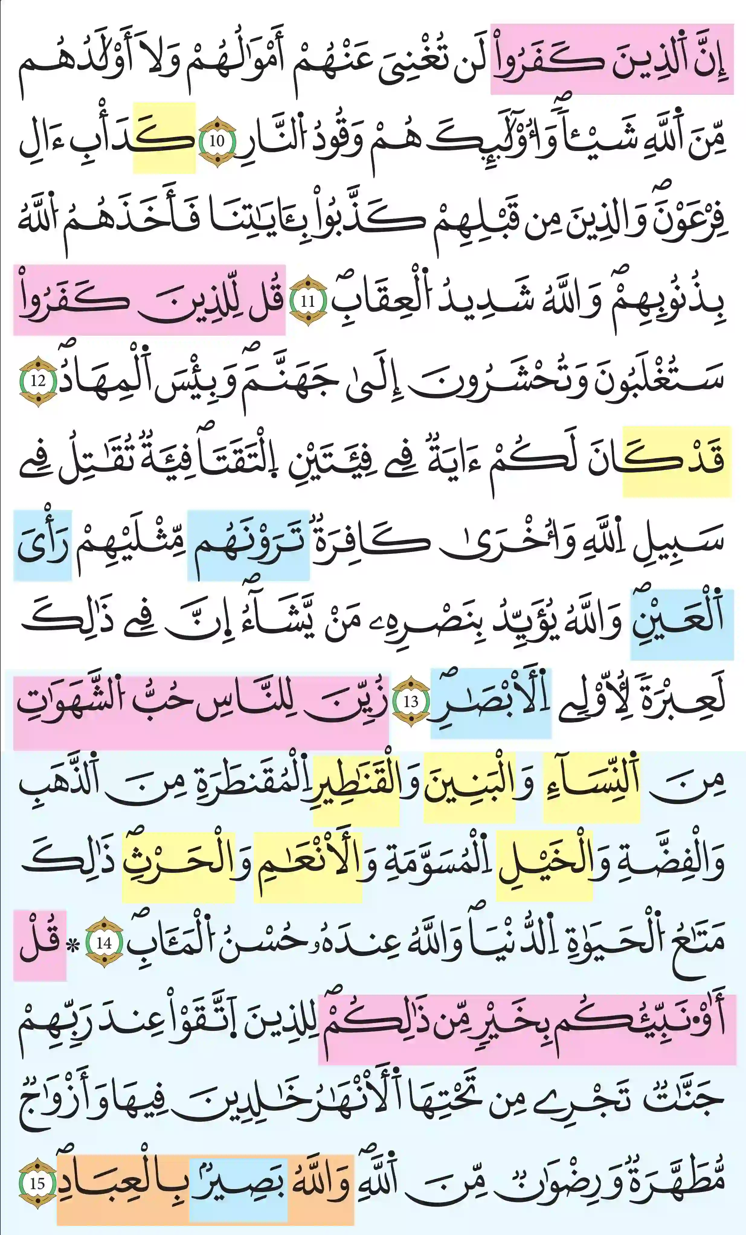 صفحة 51