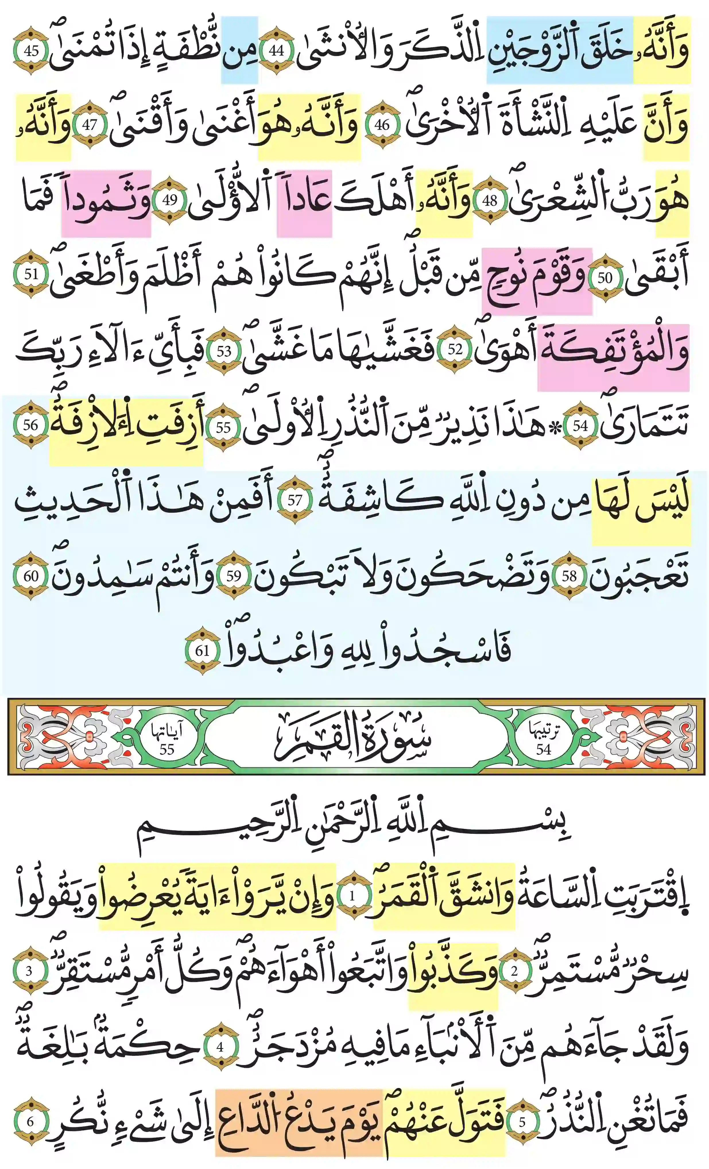 صفحة 528