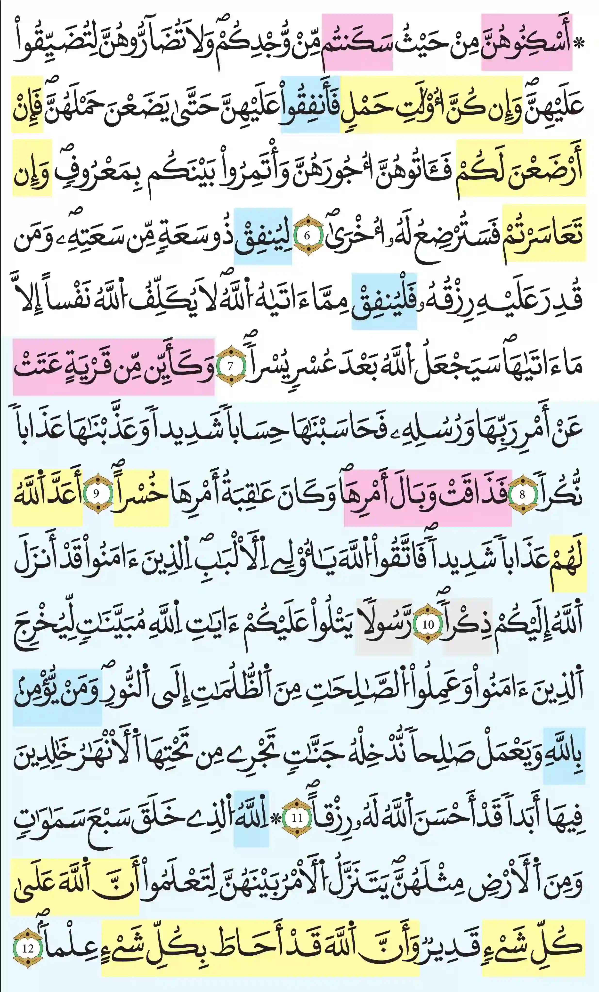 صفحة 559