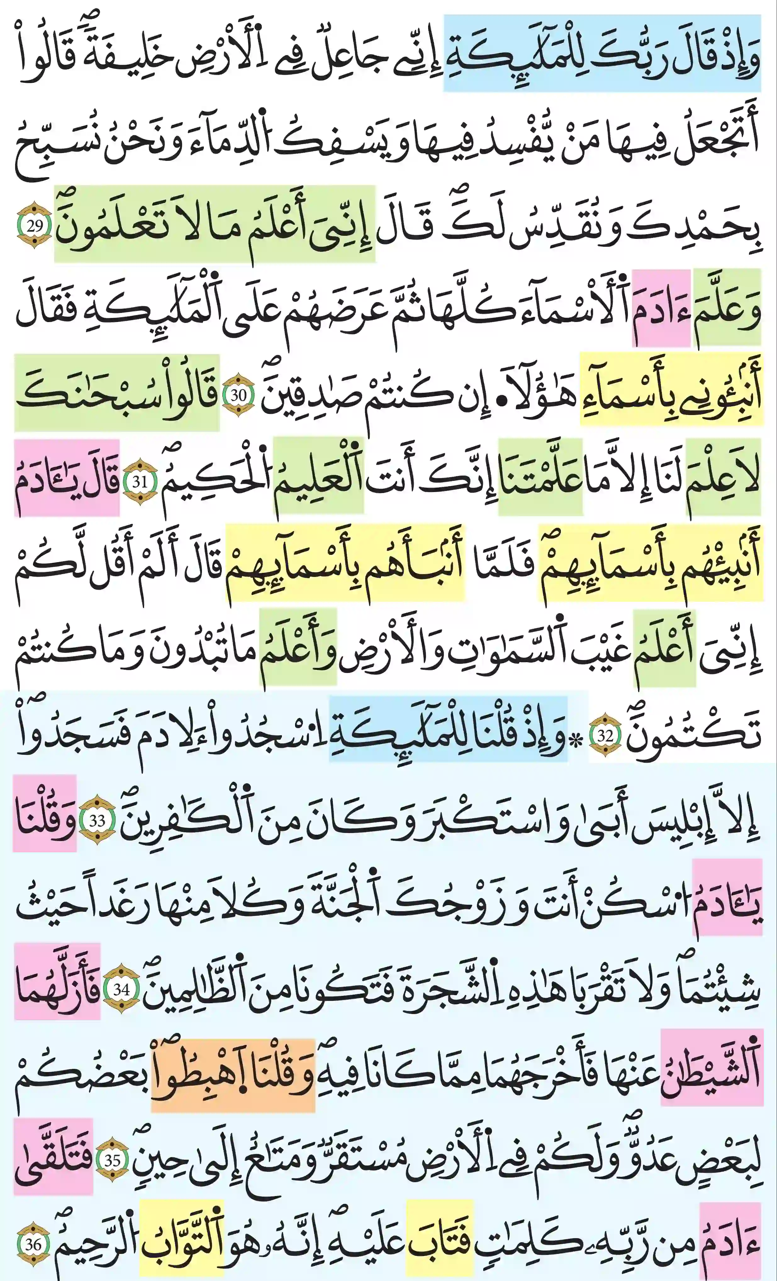 صفحة 6
