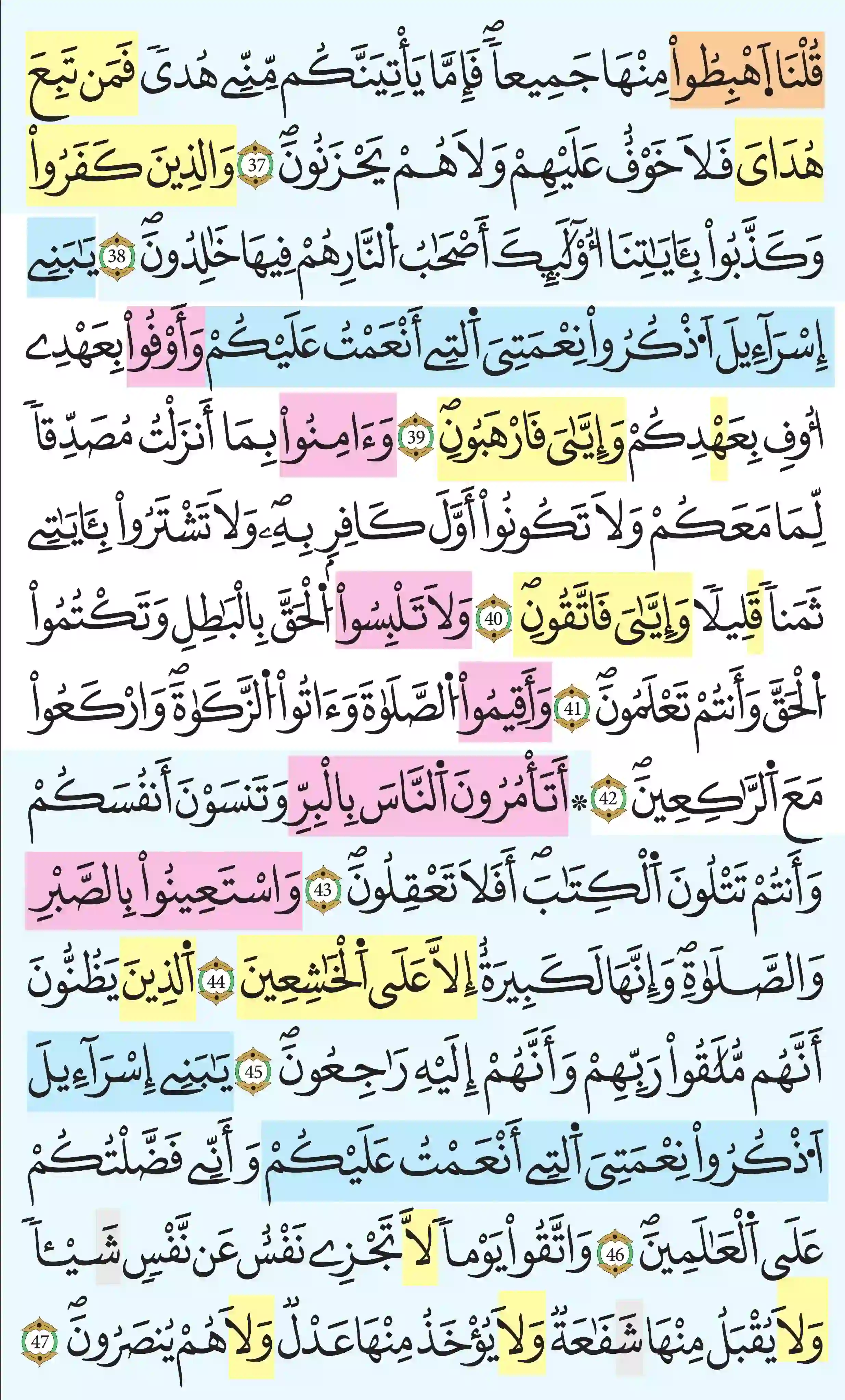 صفحة 7
